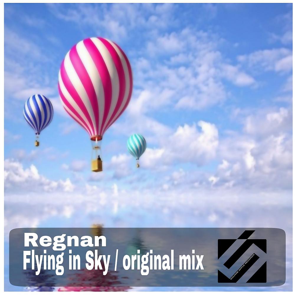 Постер альбома Flying In The Sky