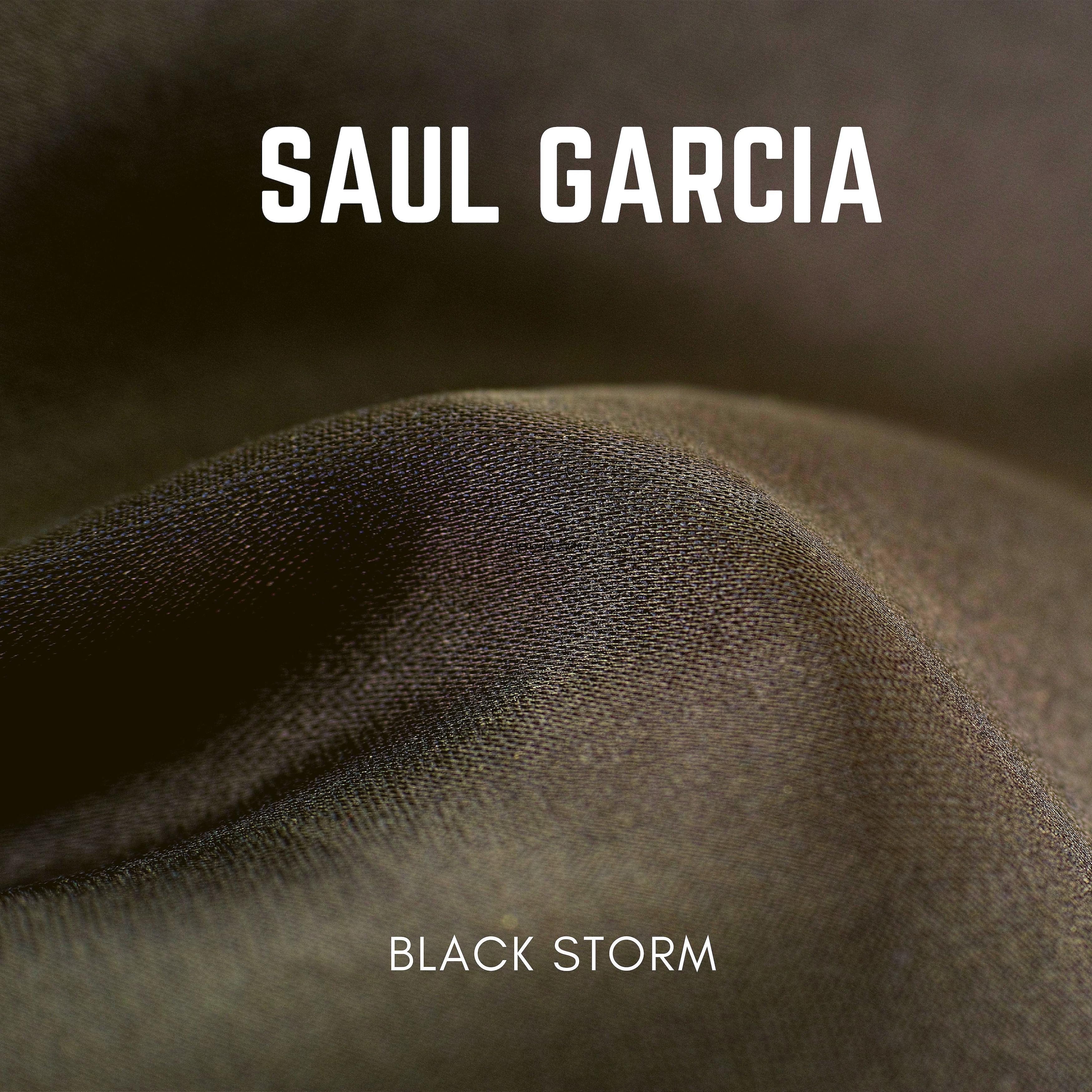 Постер альбома Black Storm