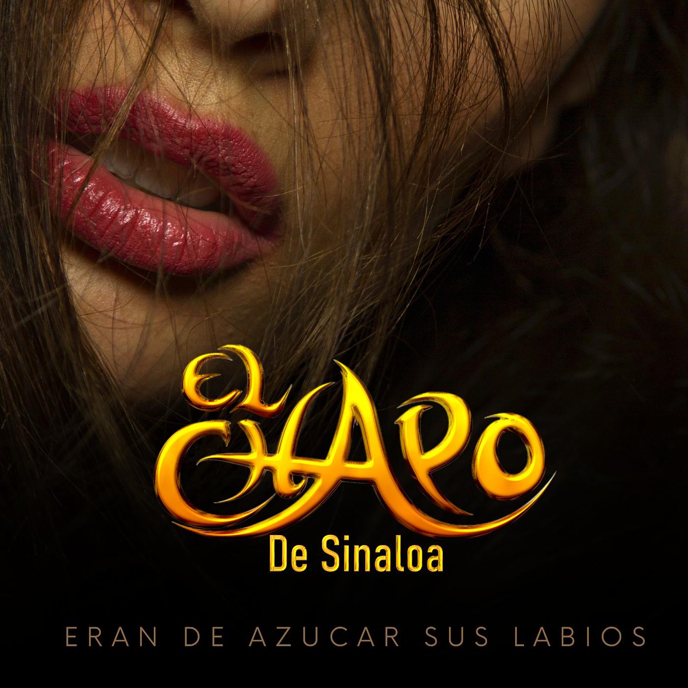 Постер альбома Eran De Azucar Sus Labios