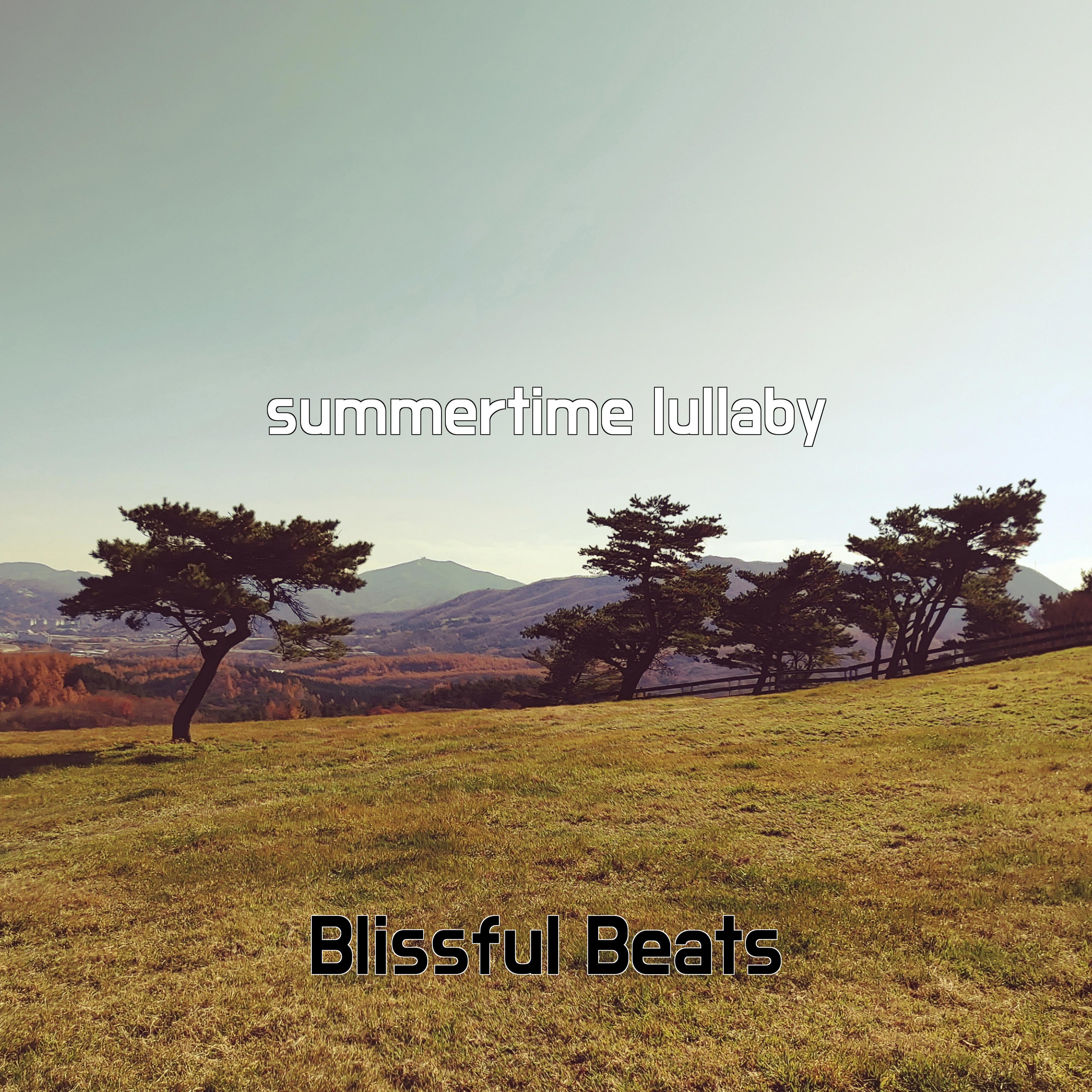Постер альбома summertime lullaby