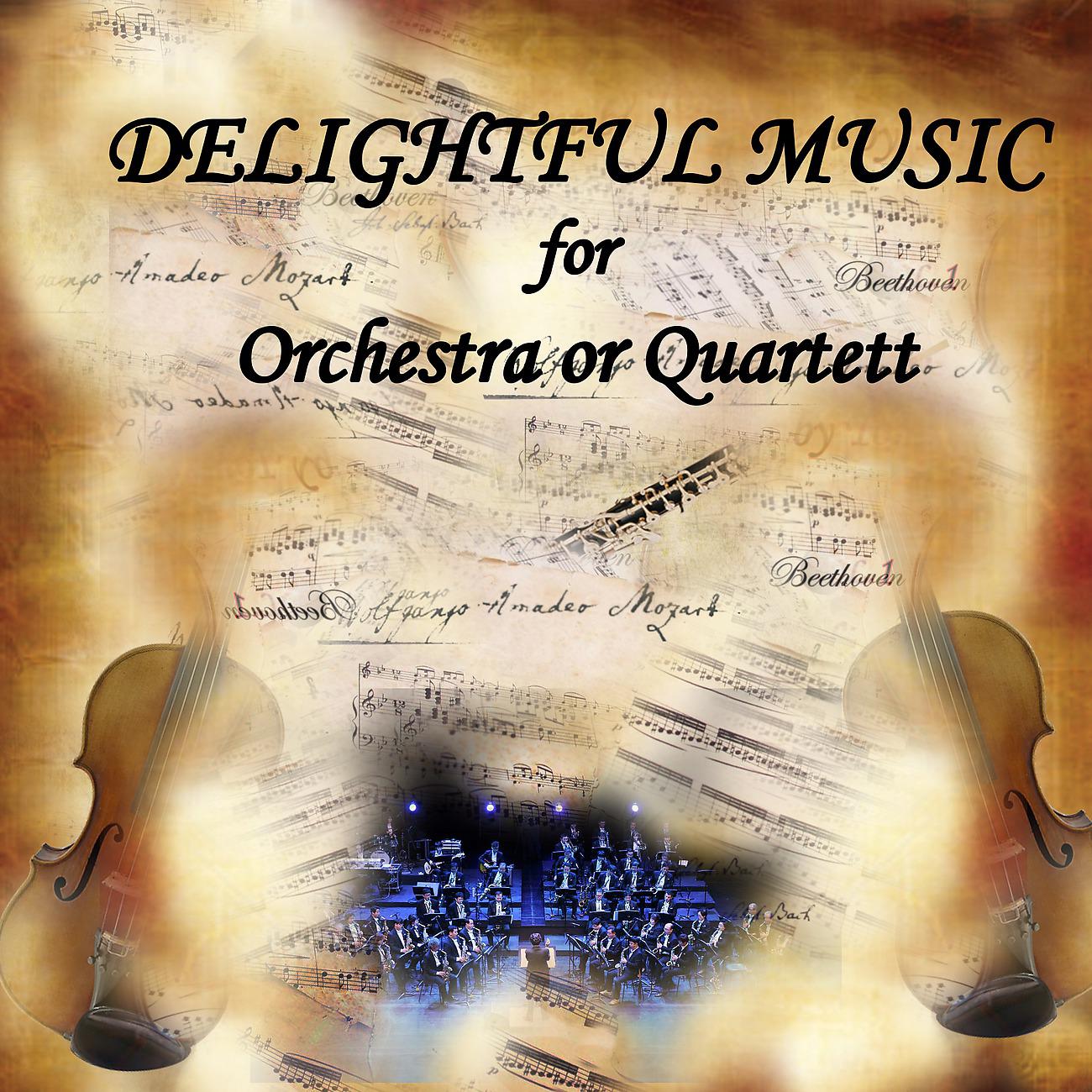 Постер альбома Delightful Music for Orchestra or Quartet, vol.1