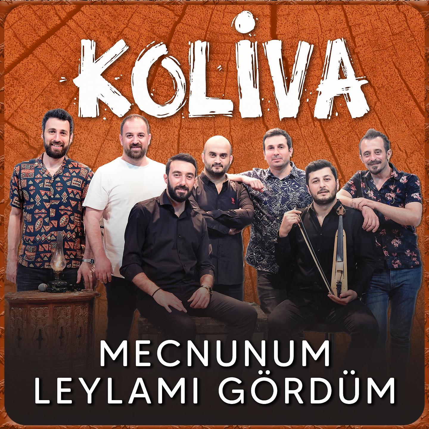 Постер альбома Mecnunum Leylamı Gördüm