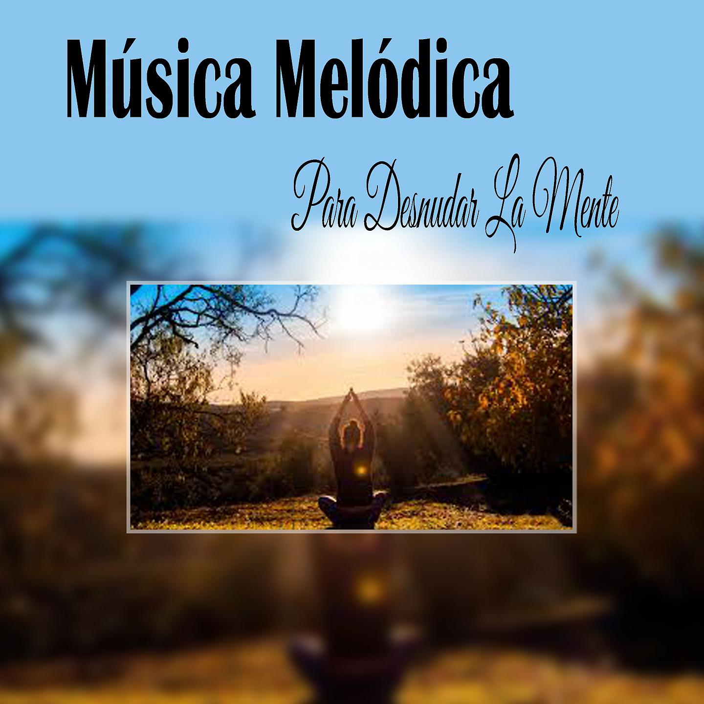 Постер альбома Música Melódica para Desnudar la Mente