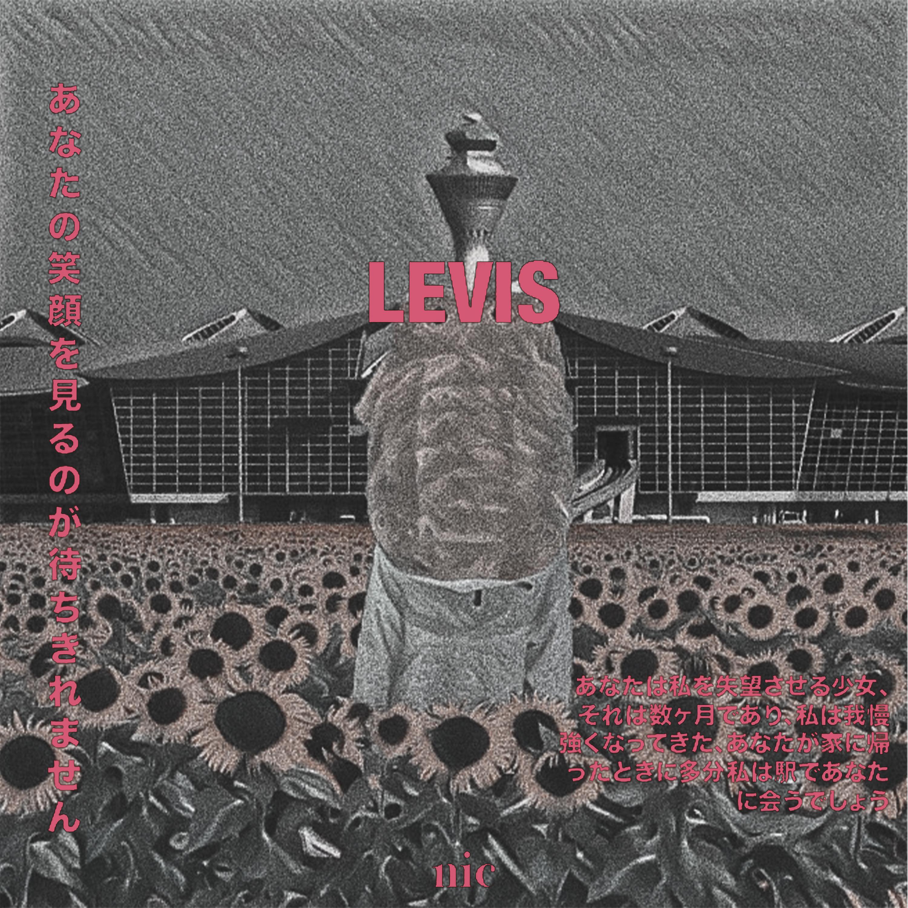 Постер альбома Levis - stripped