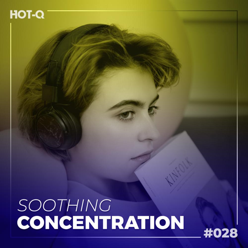 Постер альбома Soothing Concentration 028