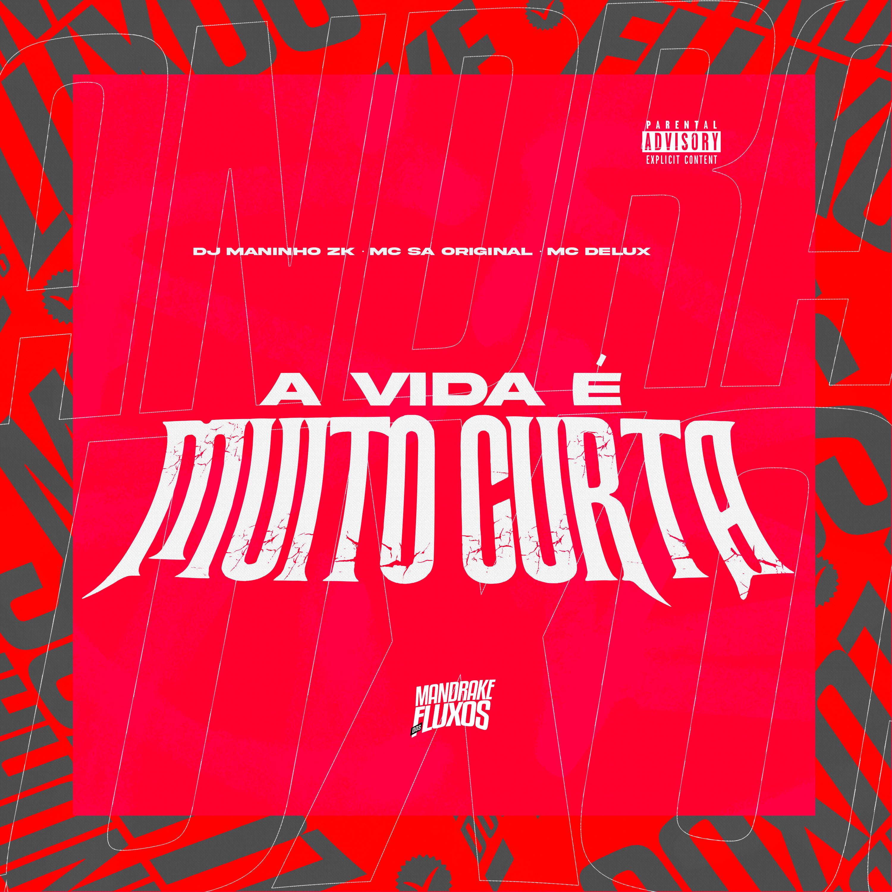 Постер альбома A Vida É Muito Curta