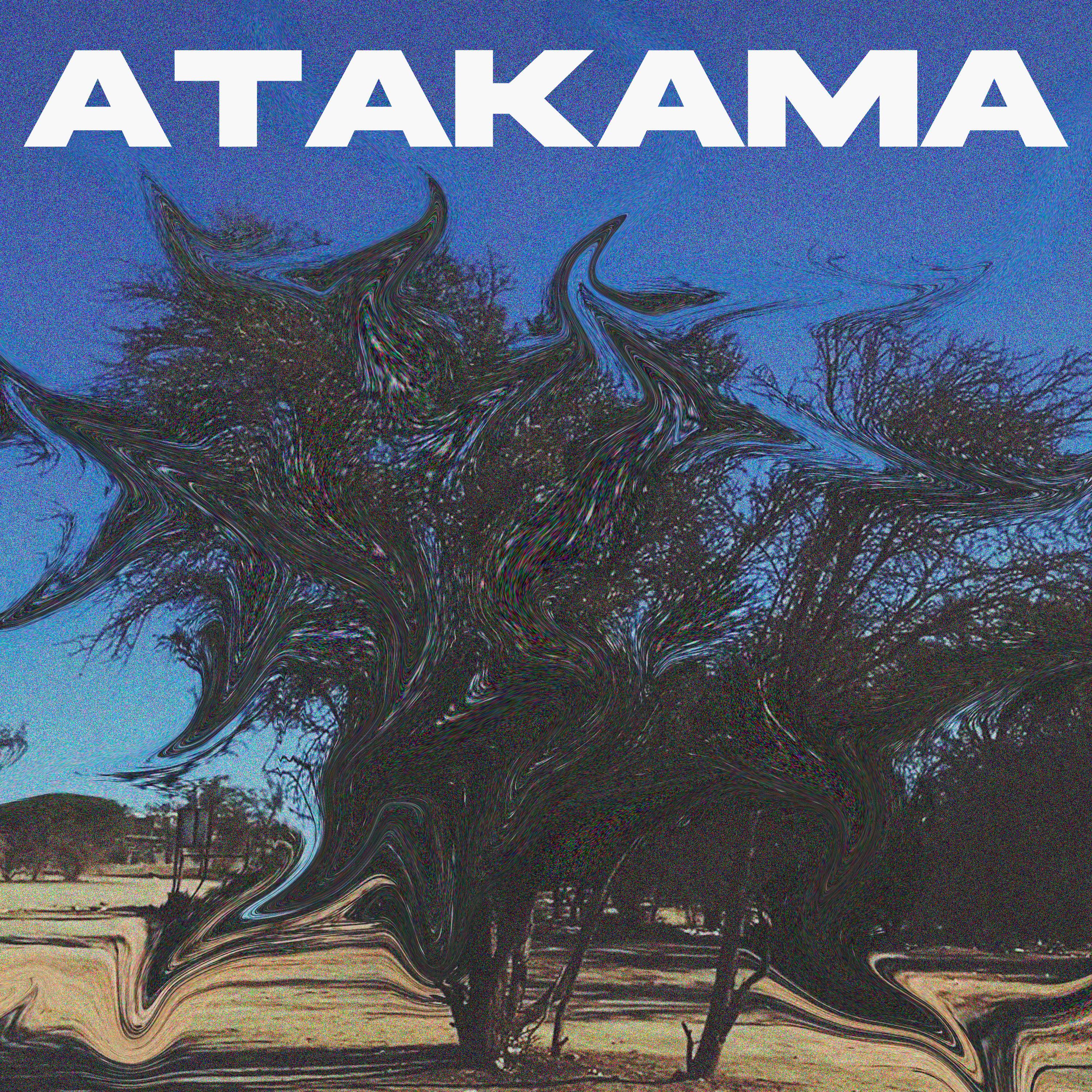 Постер альбома Atakama