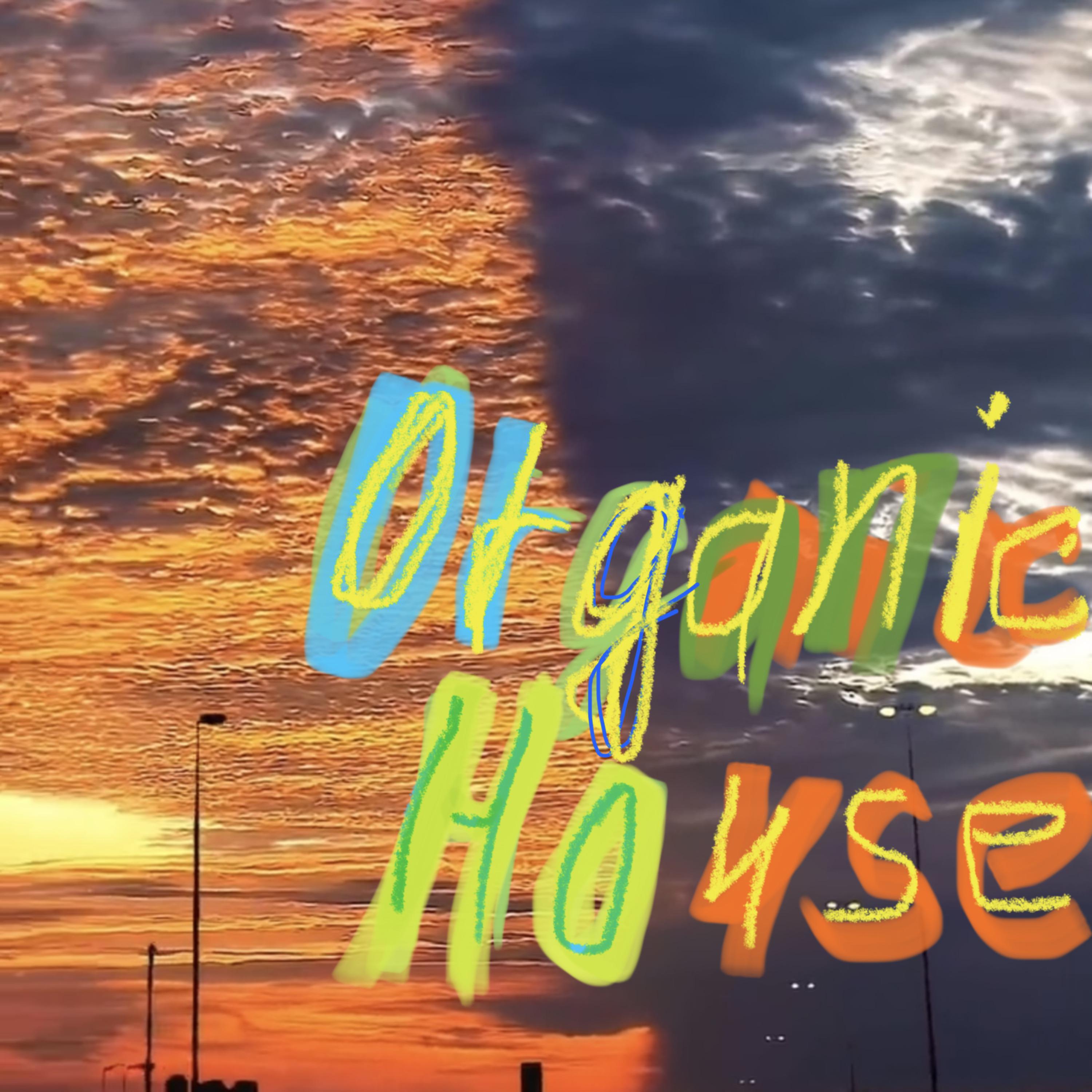 Постер альбома Organic House