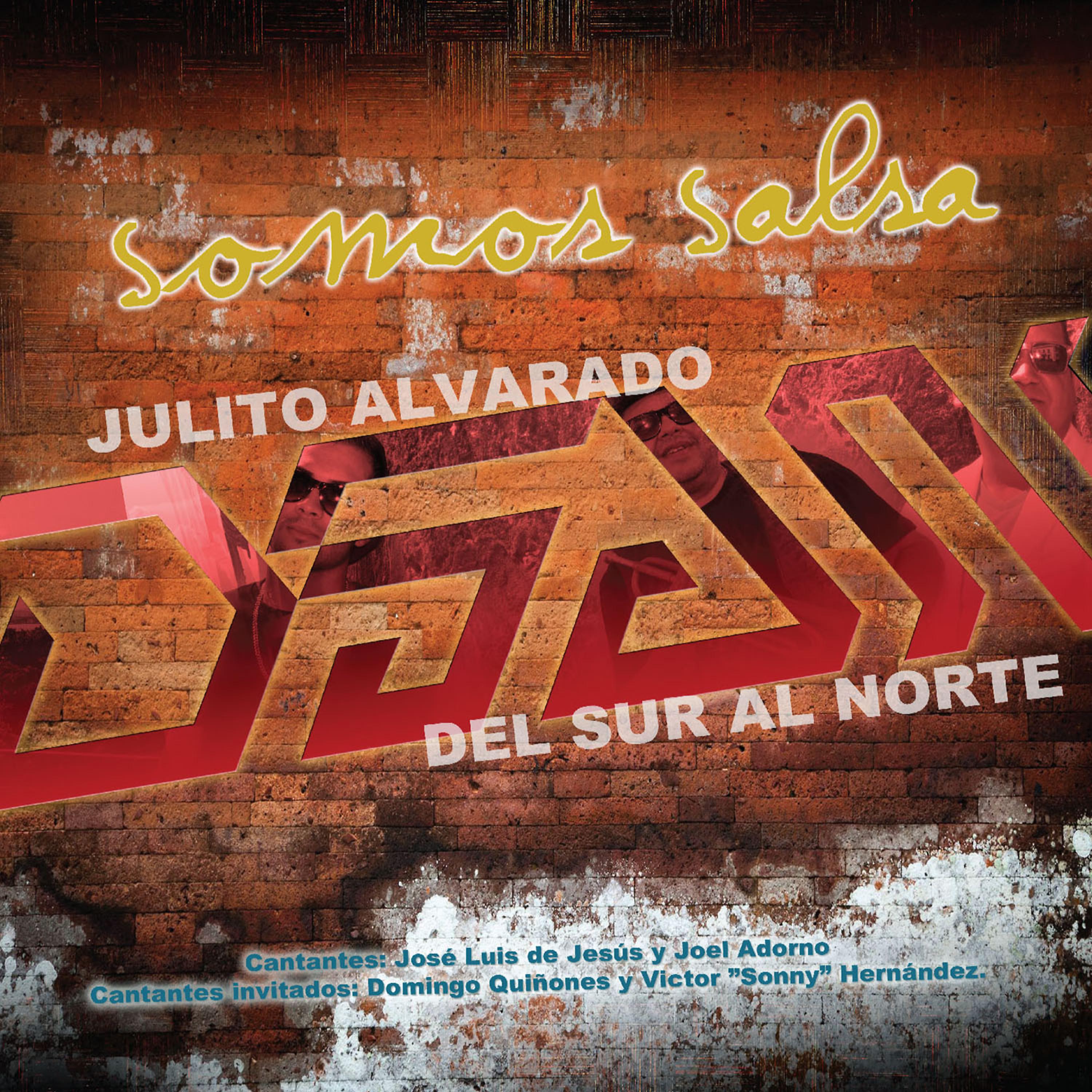 Постер альбома Somos Salsa