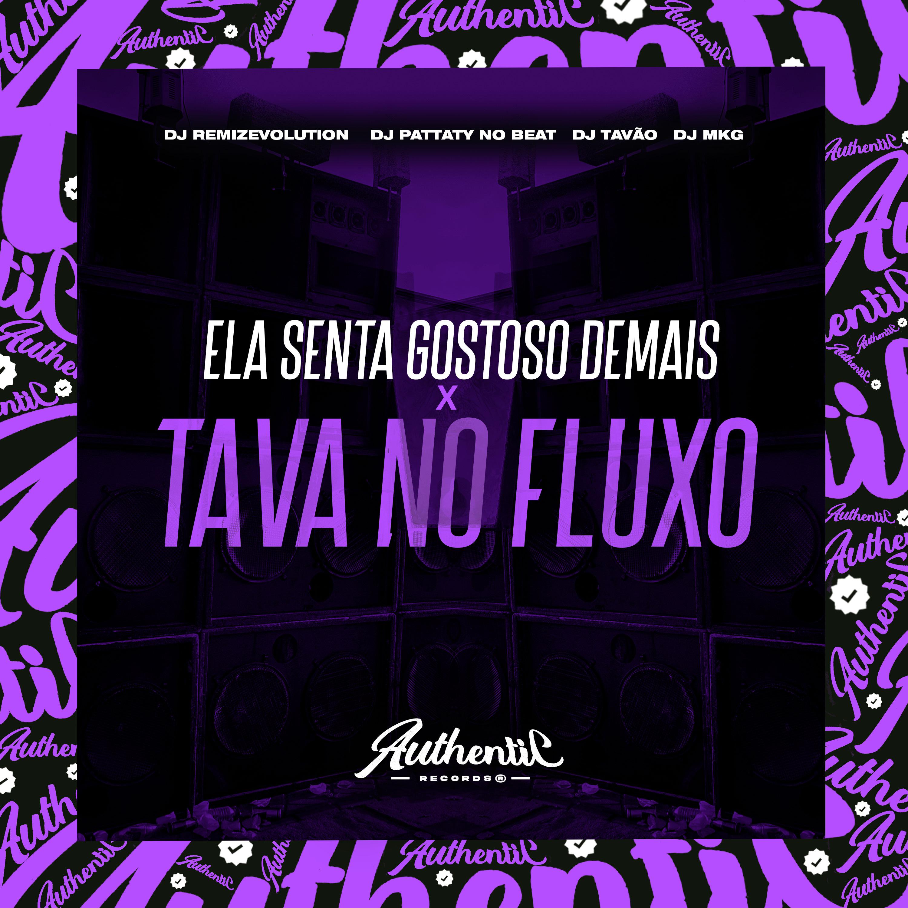 Постер альбома Ela Senta Gostoso Demais X Tava no Fluxo
