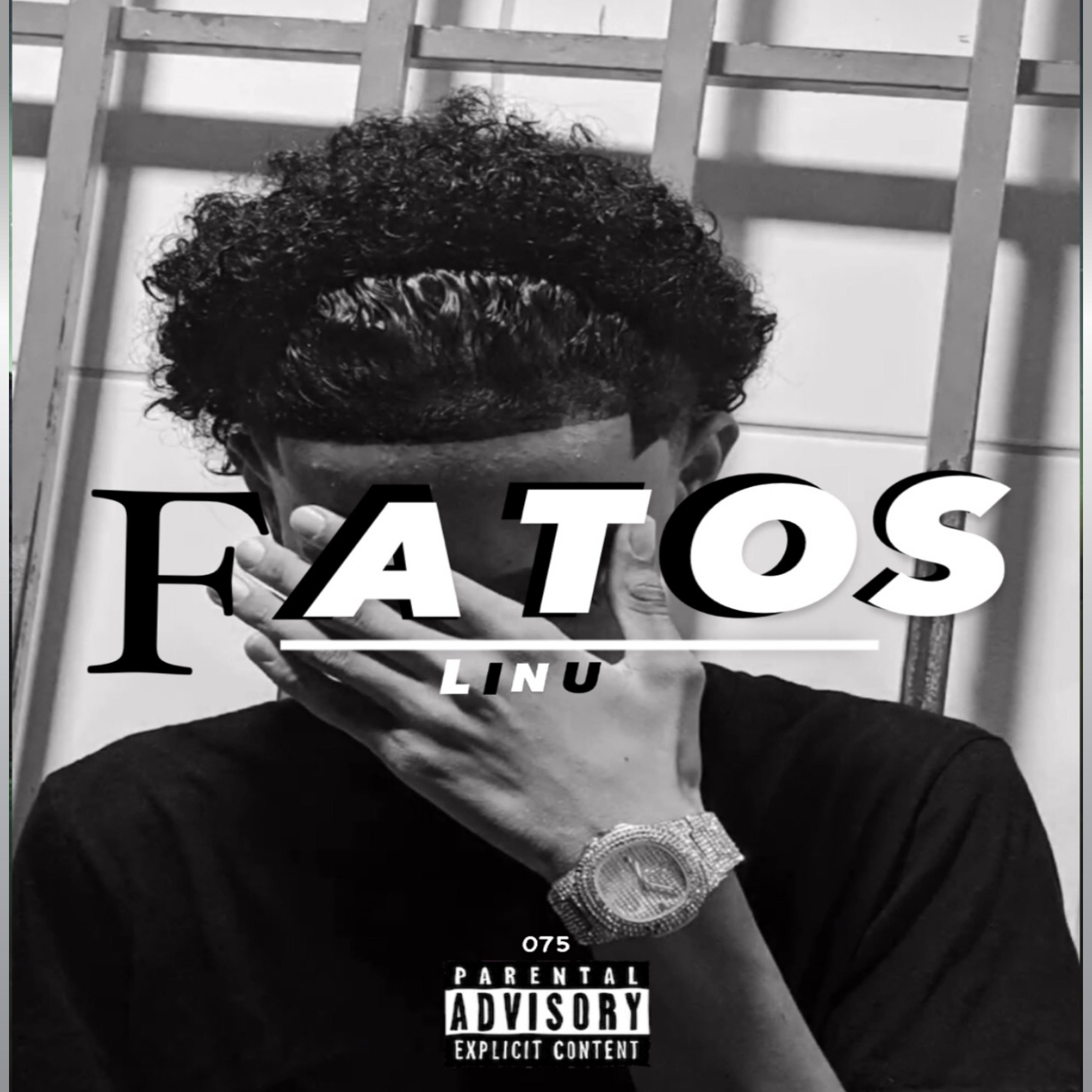 Постер альбома Fatos
