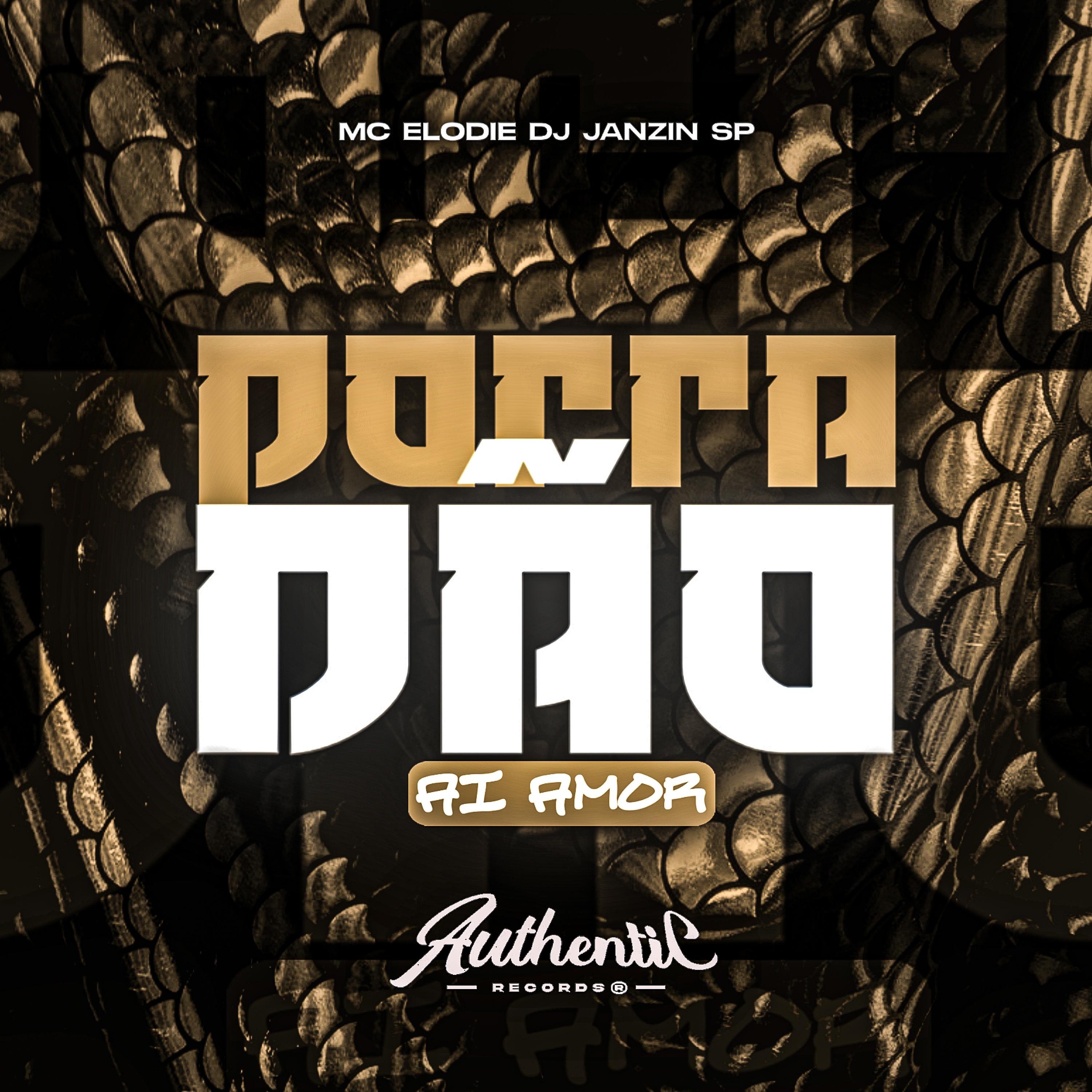 Постер альбома Porradão Ai Amor
