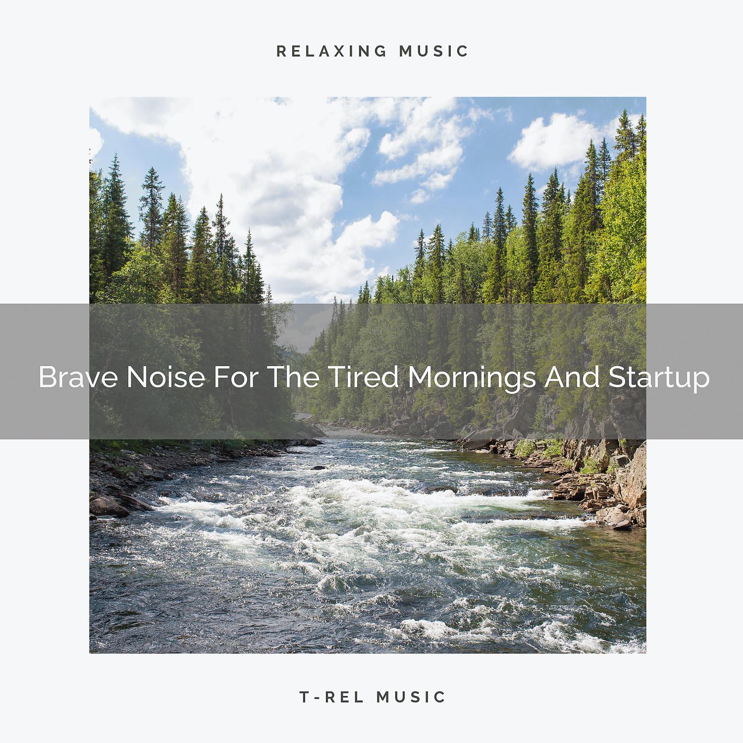 Постер альбома Brave Noise For The Tired Mornings And Startup