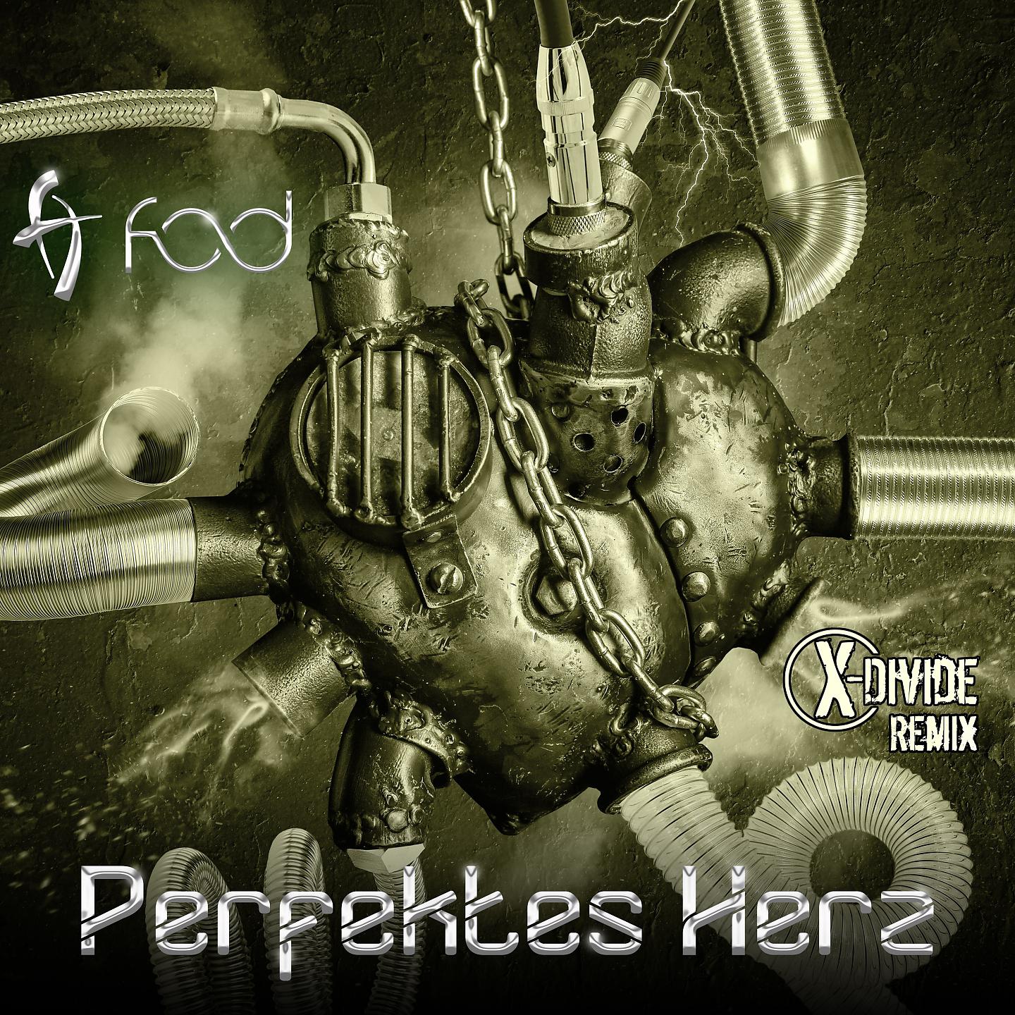 Постер альбома Perfektes Herz