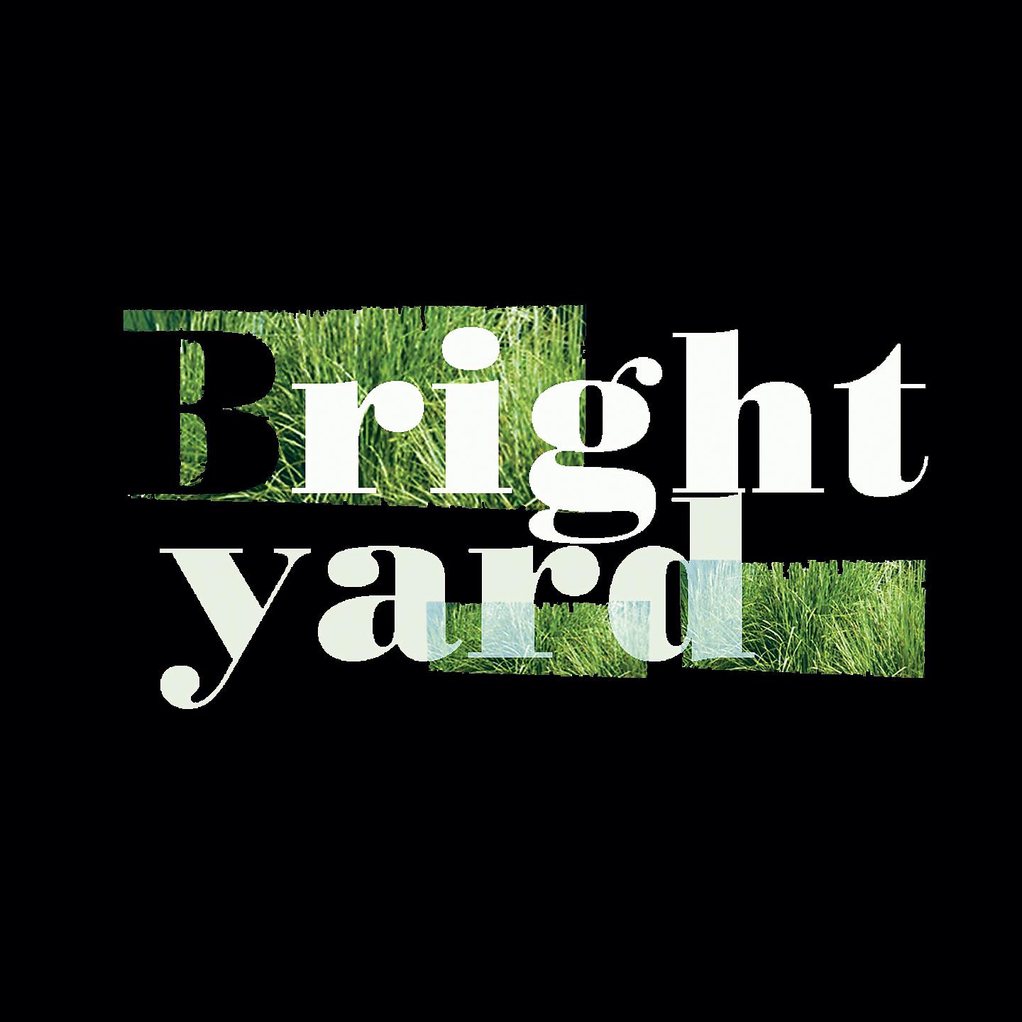Постер альбома Brightyard