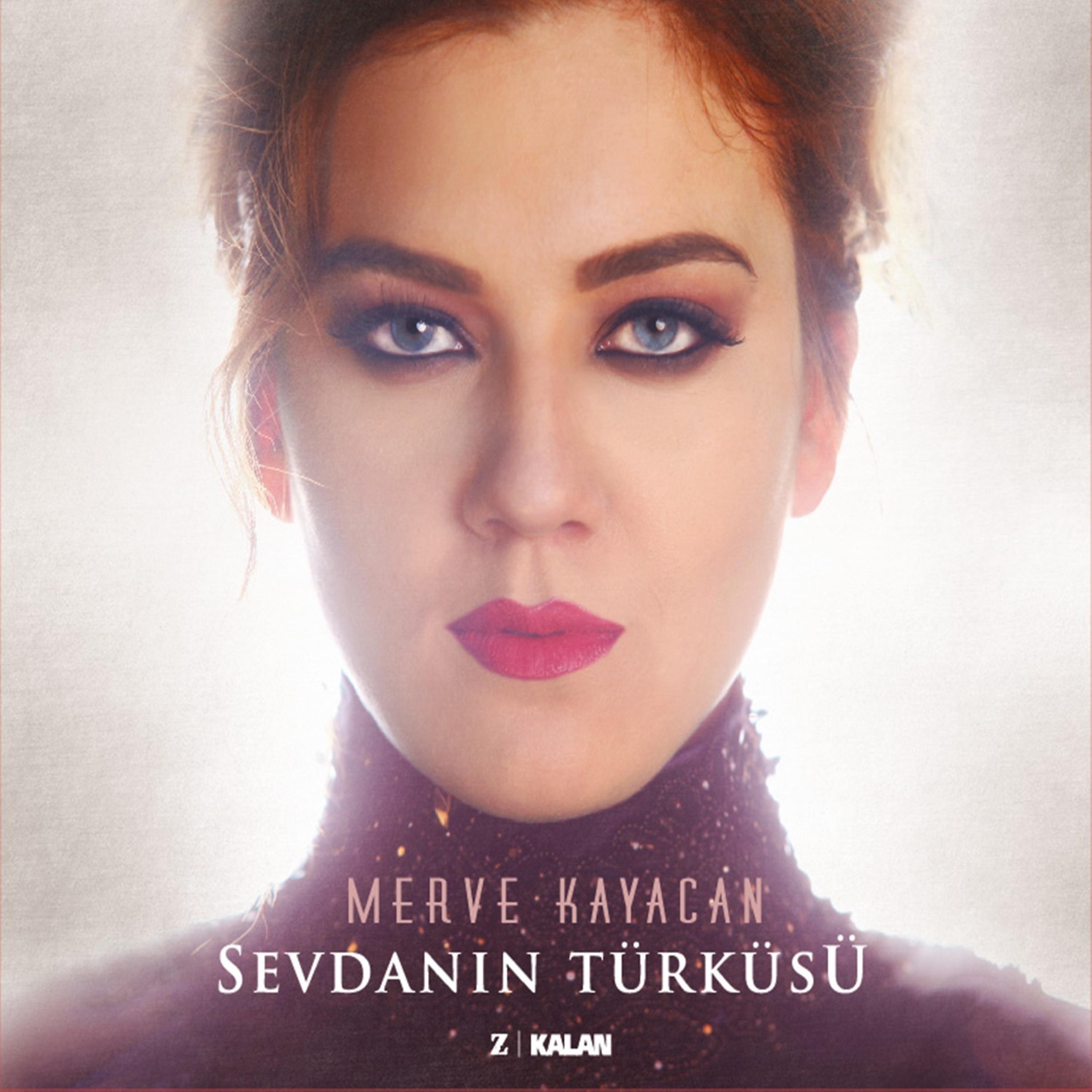 Постер альбома Sevdanın Türküsü