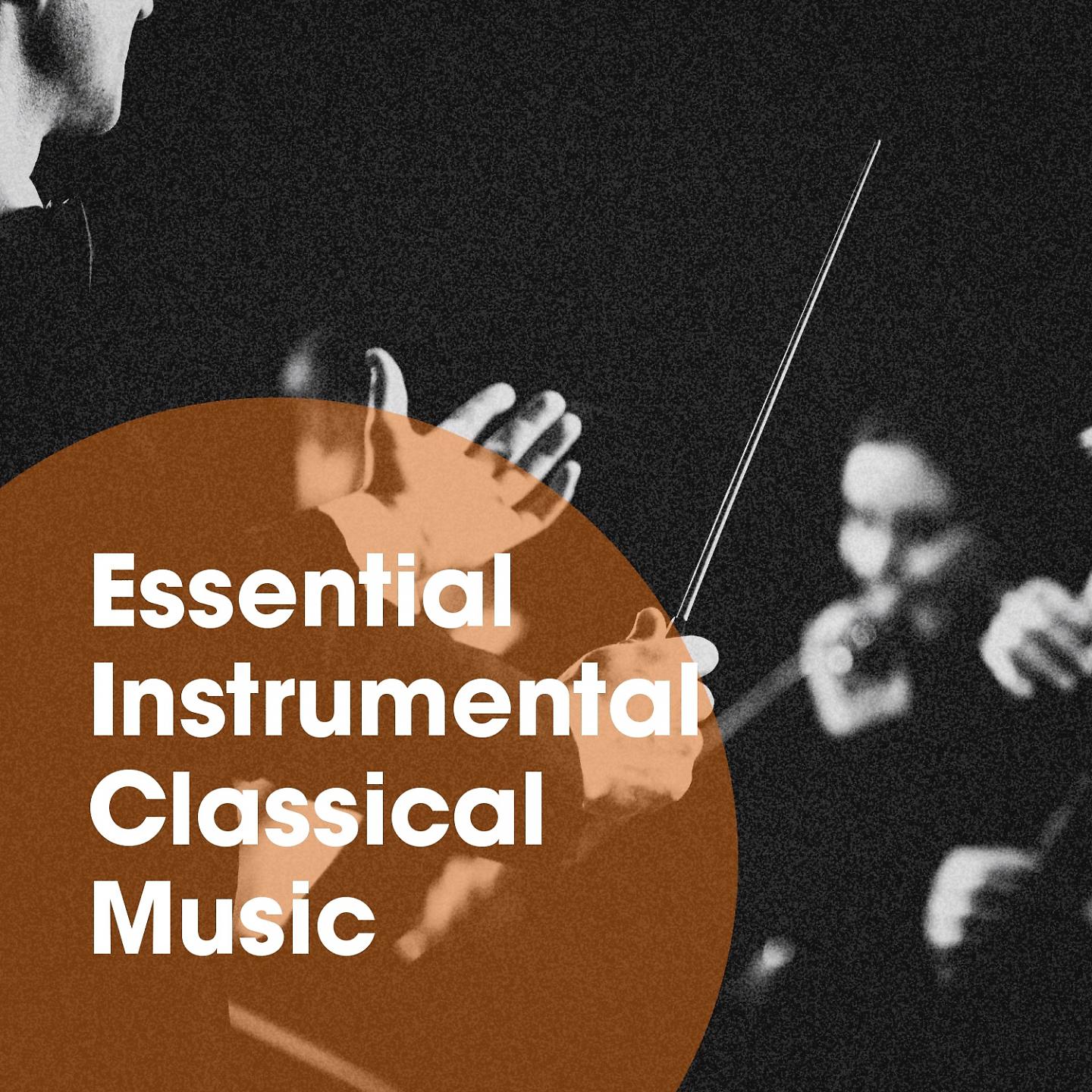 Постер альбома Essential Instrumental Classical Music