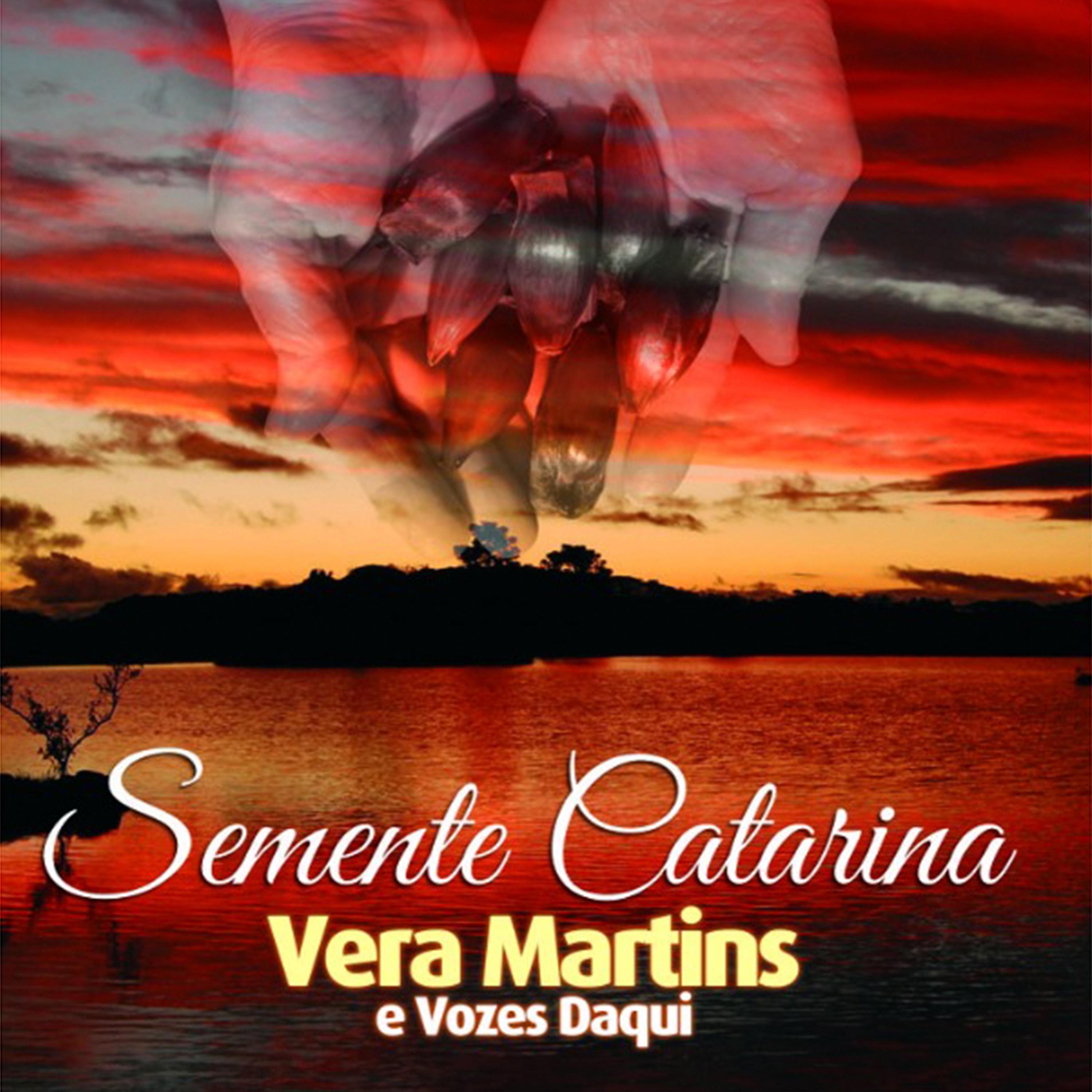 Постер альбома Semente Catarina