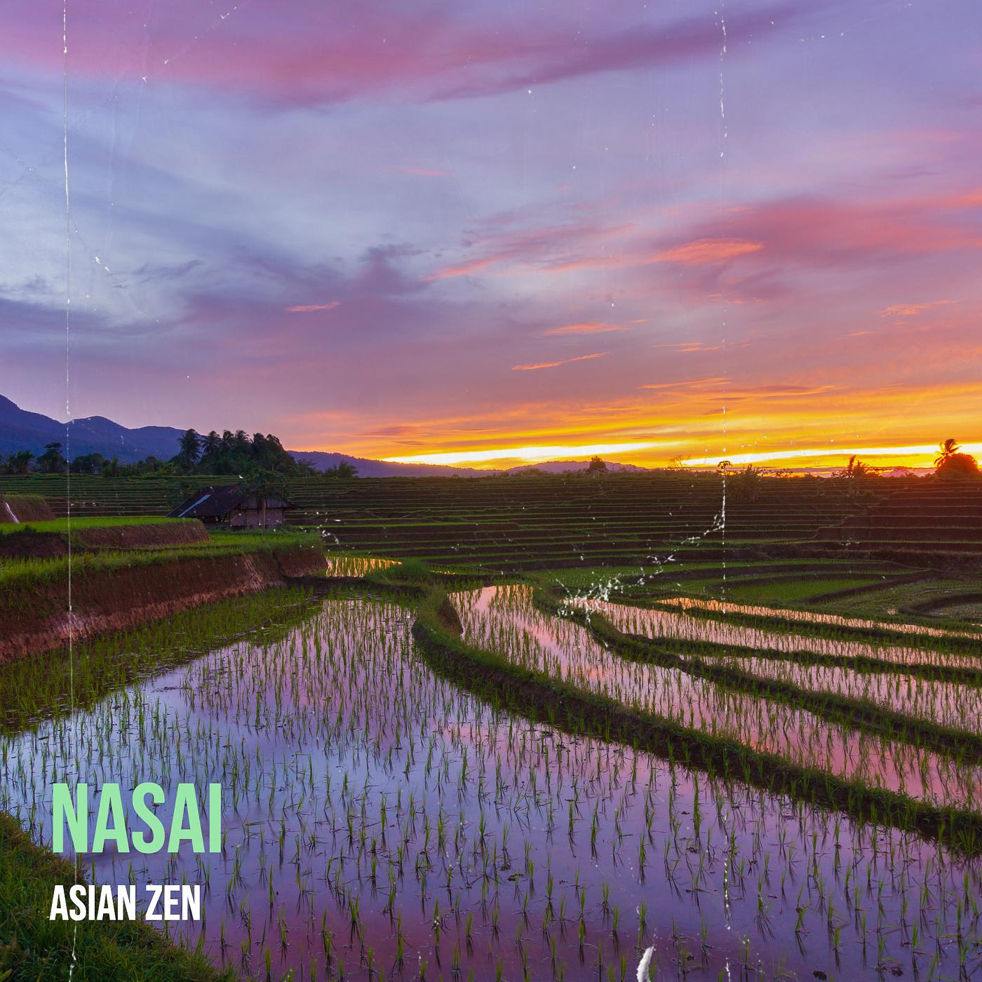 Постер альбома Nasai