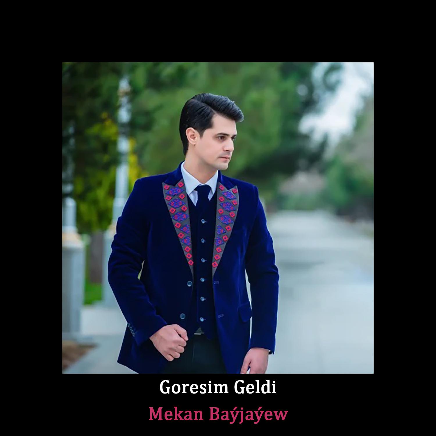Постер альбома Goresim Geldi