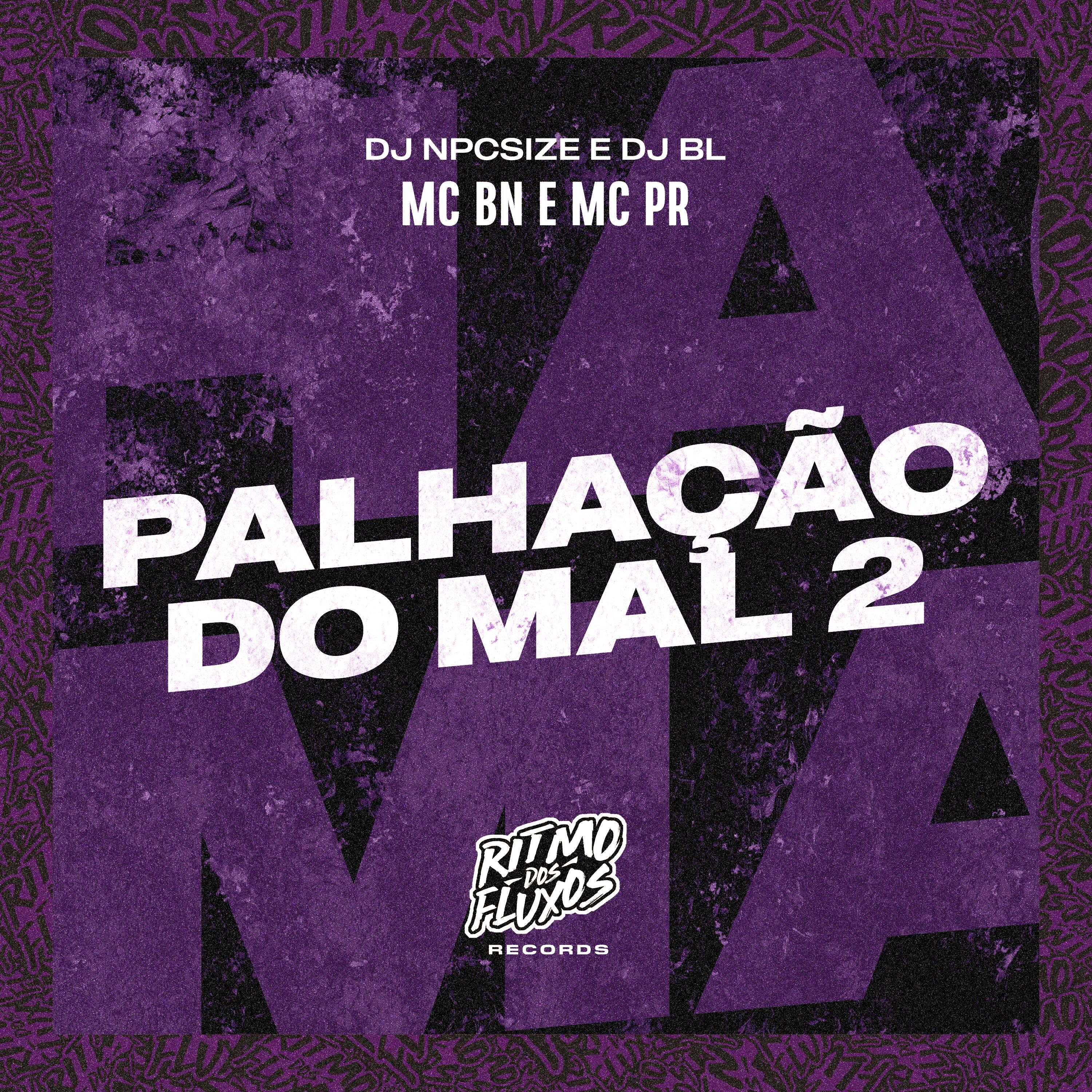 Постер альбома Palhação do Mal 2