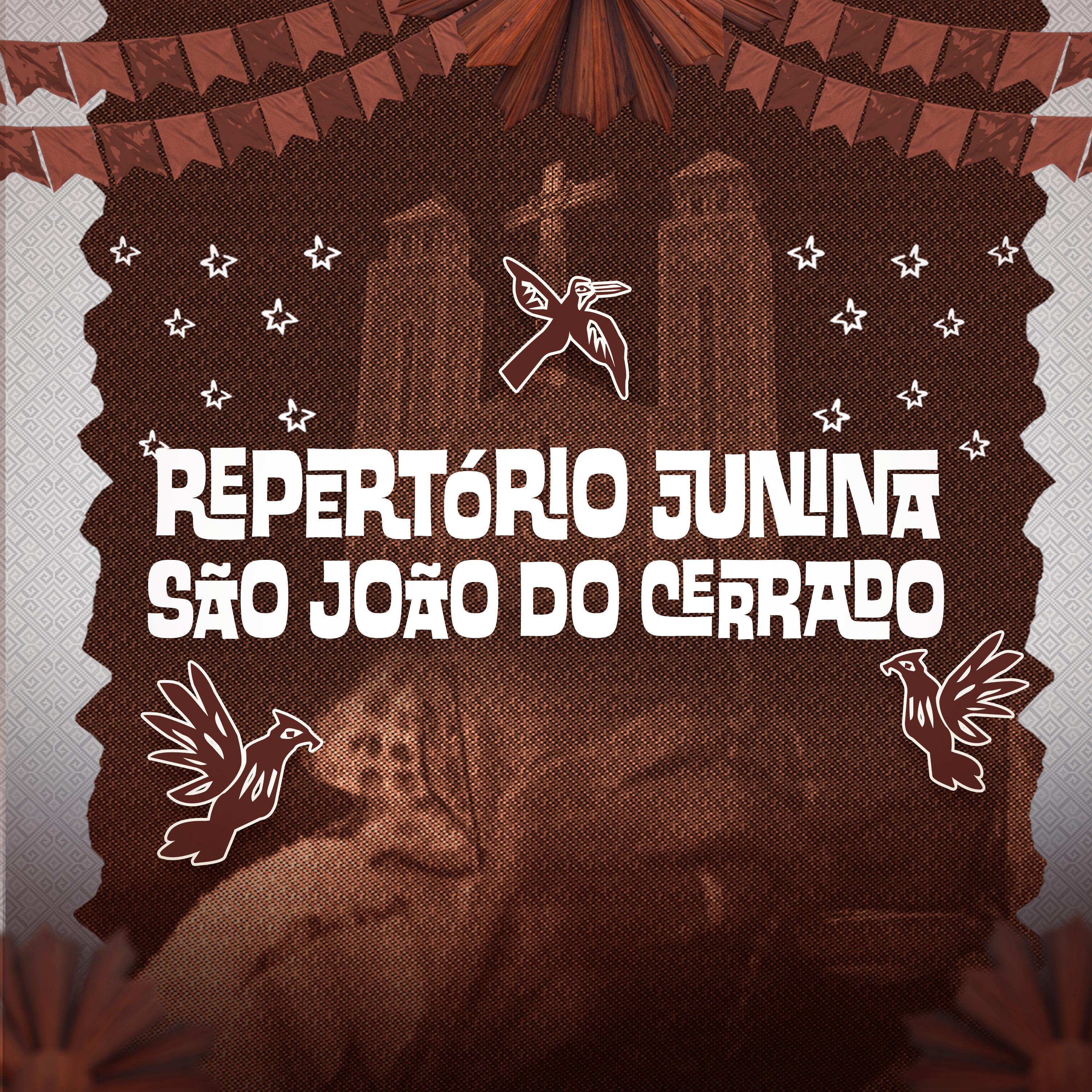 Постер альбома Repertório Junina São João do Cerrado