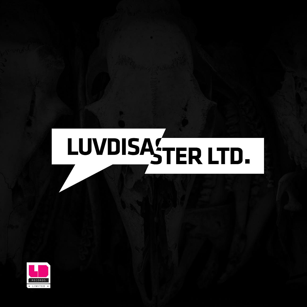 Постер альбома LuvDisaster Limited