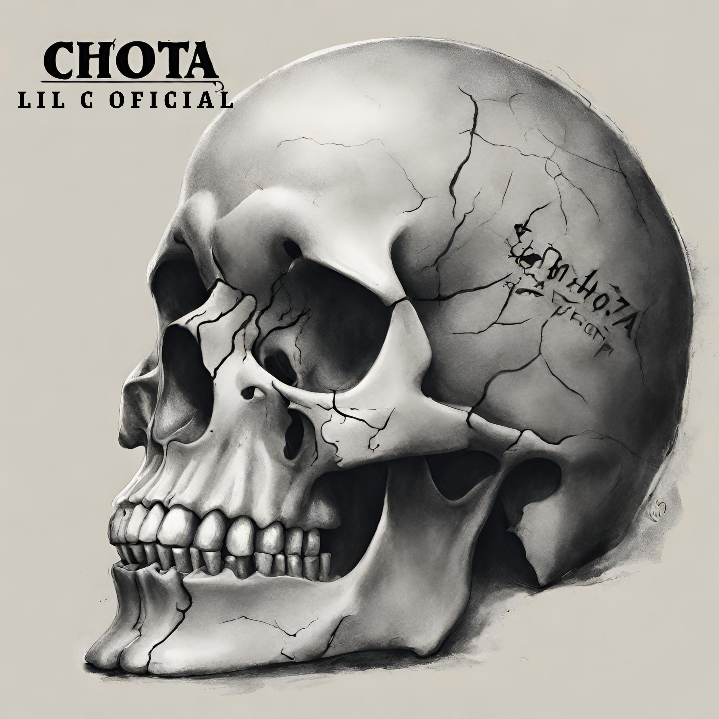 Постер альбома Chota