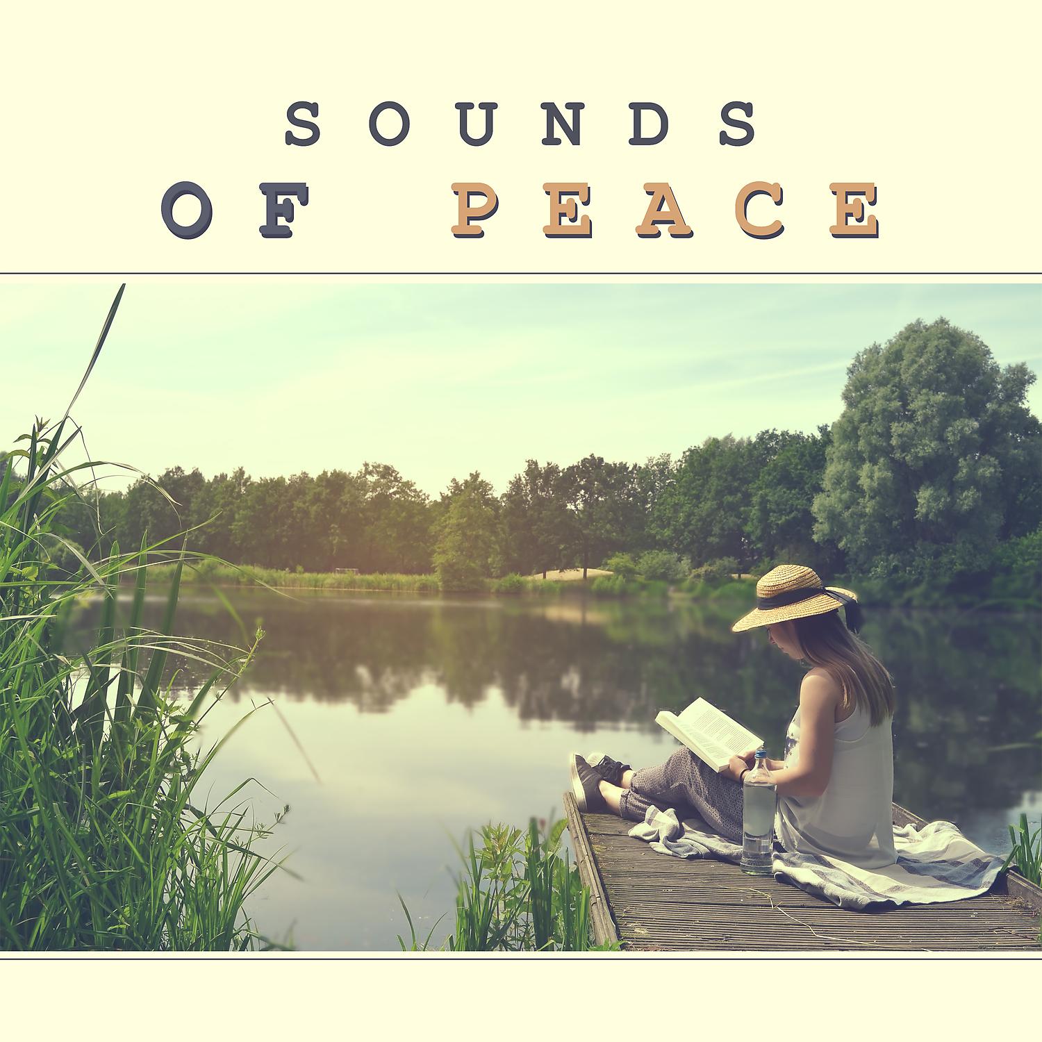 Постер альбома Sounds of Peace - Internal Mute, Japanese Influence, Asian Peace of Mind, Wonderful Breath, Interesting Colour Sound