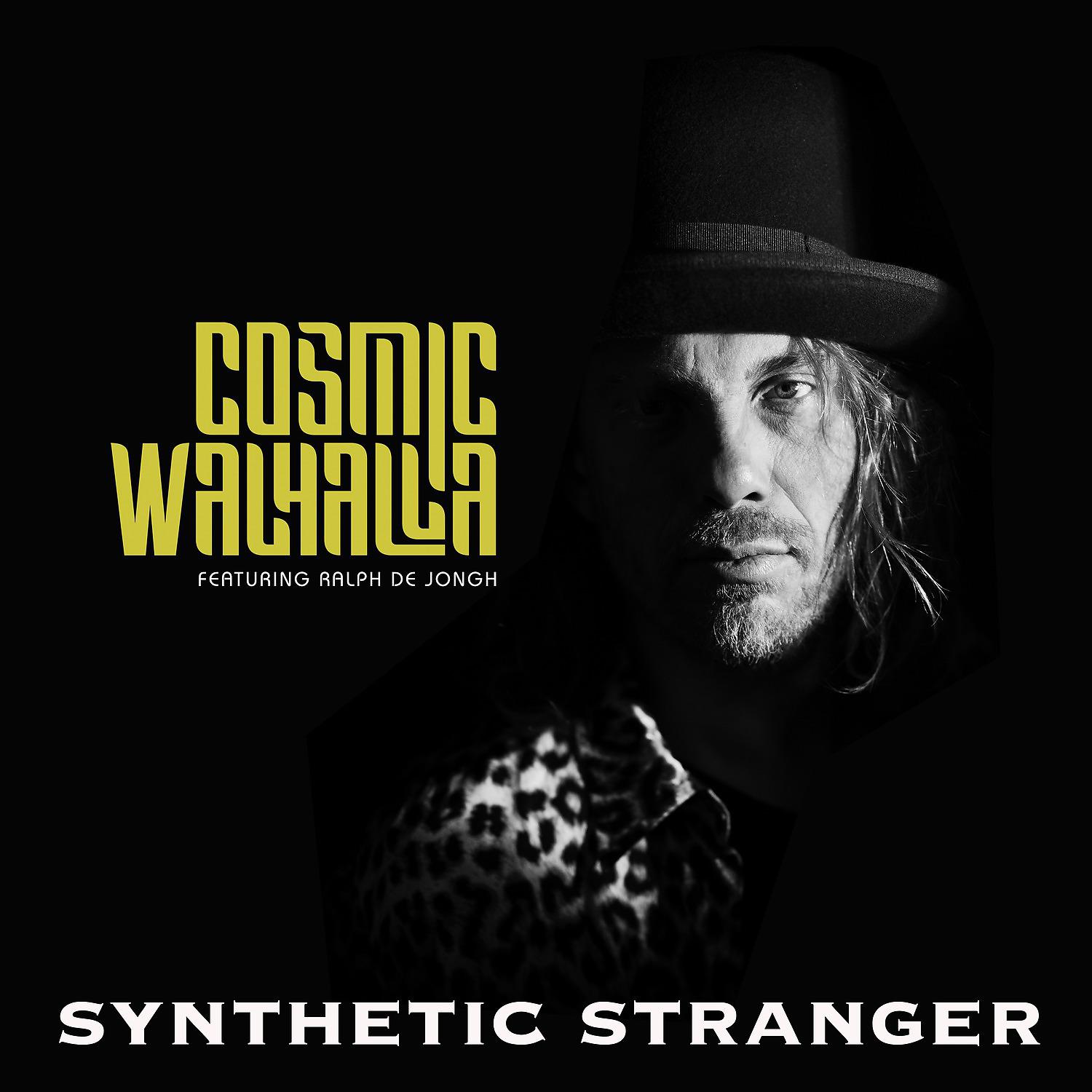 Постер альбома Synthetic Stranger