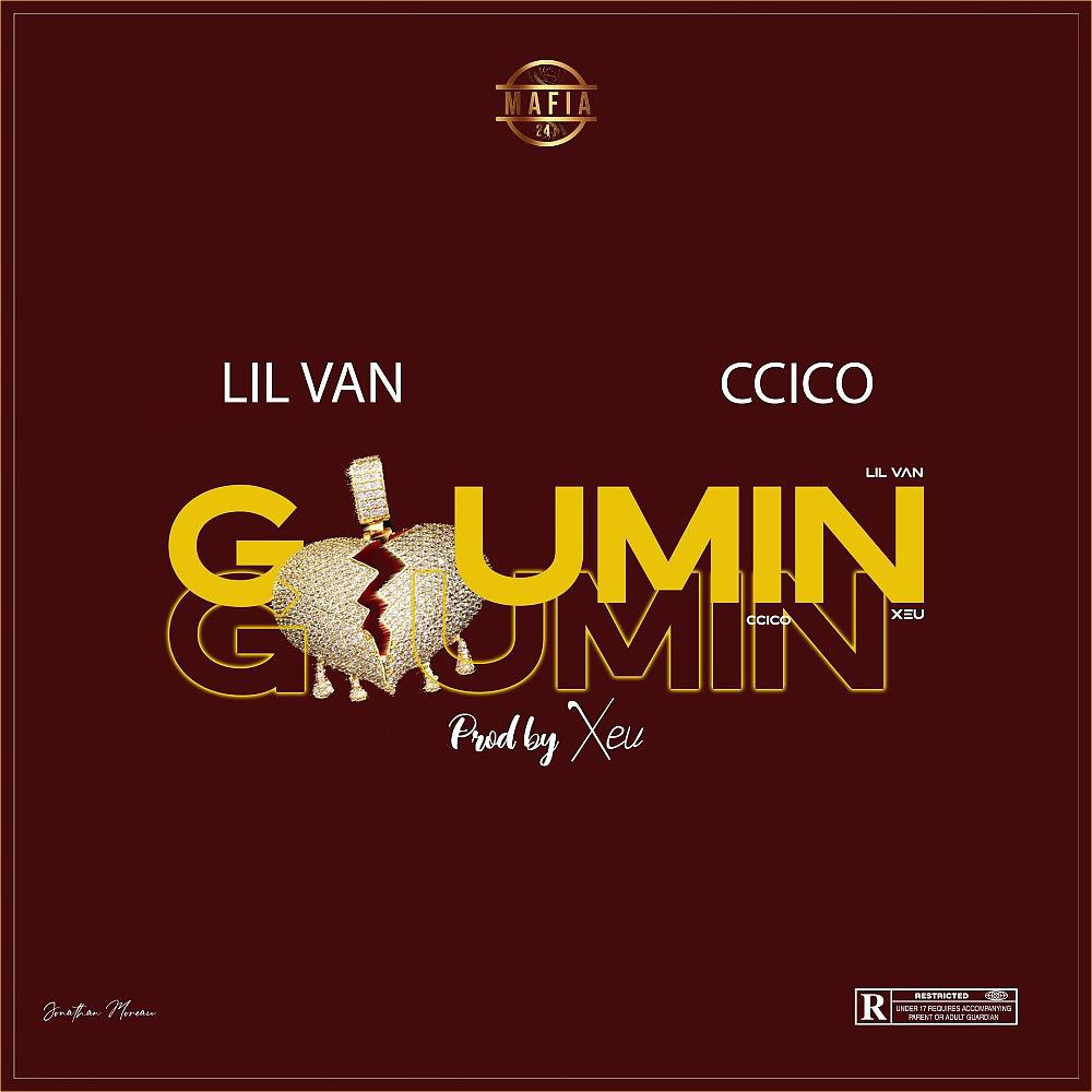 Постер альбома Goumin