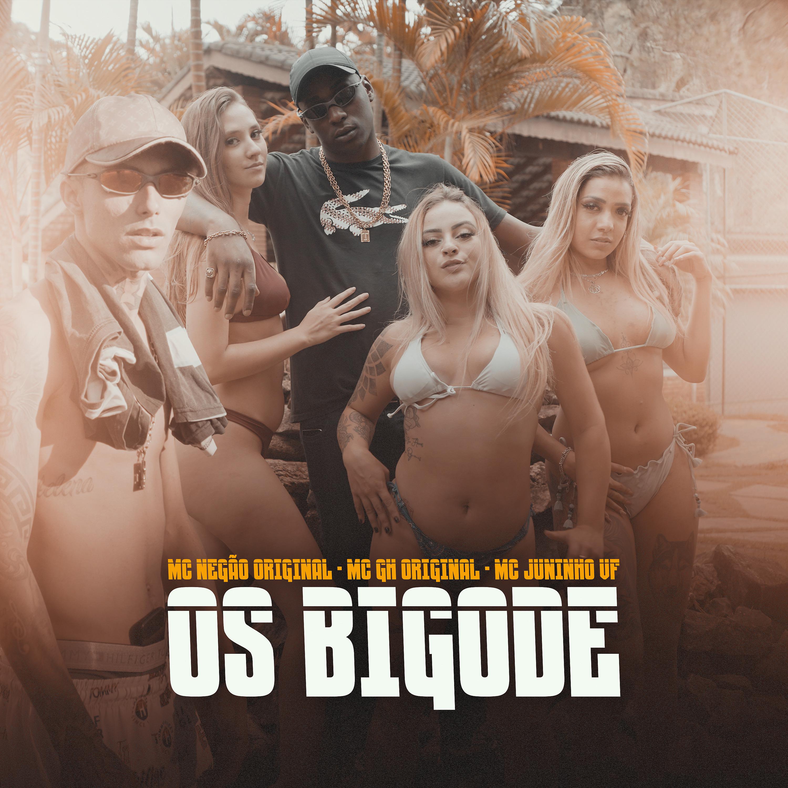 Постер альбома Os Bigode