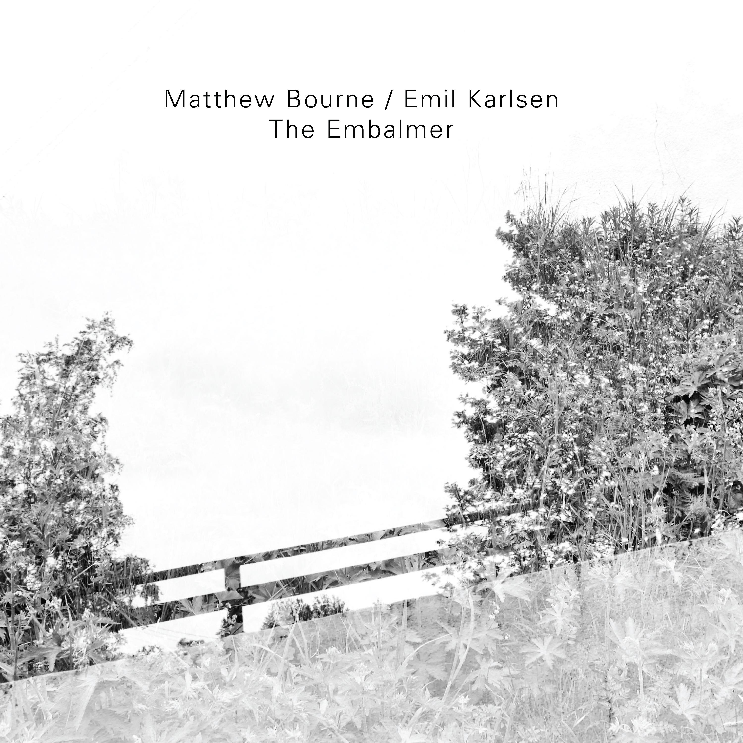 Постер альбома The Embalmer