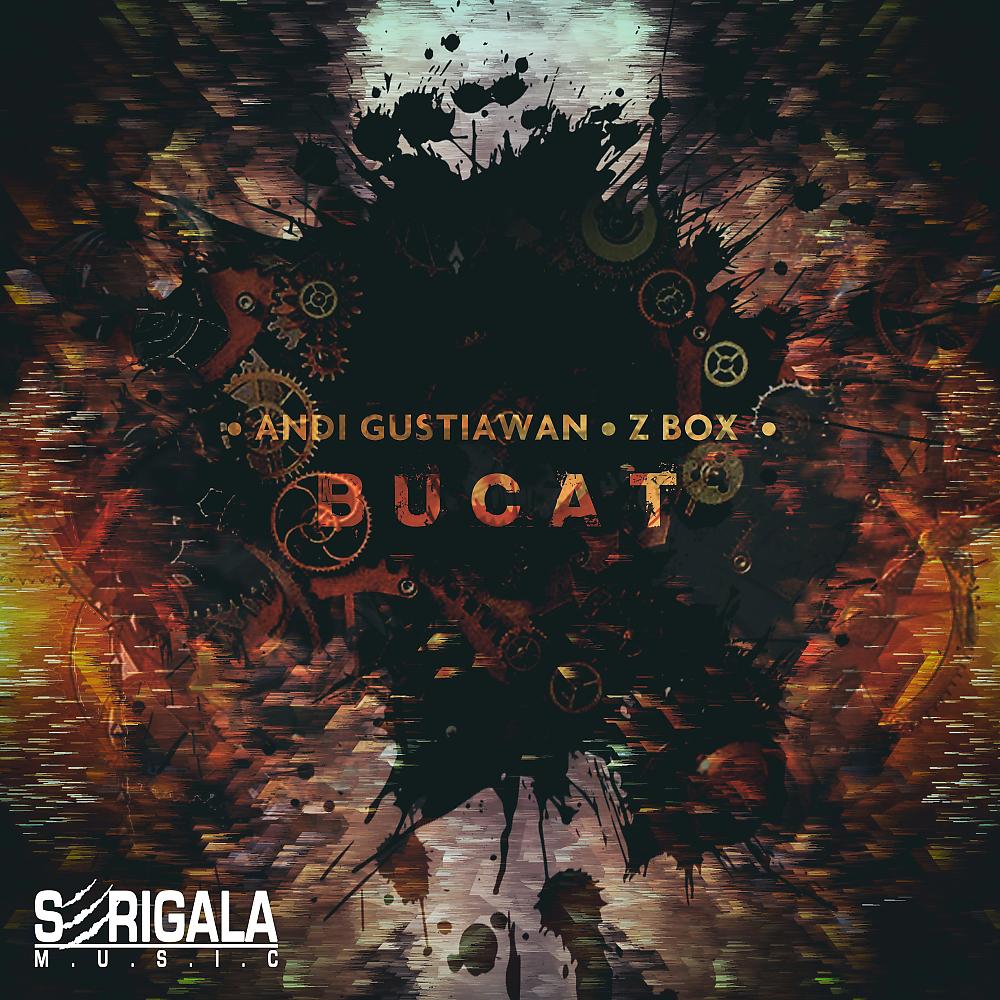 Постер альбома Bucat