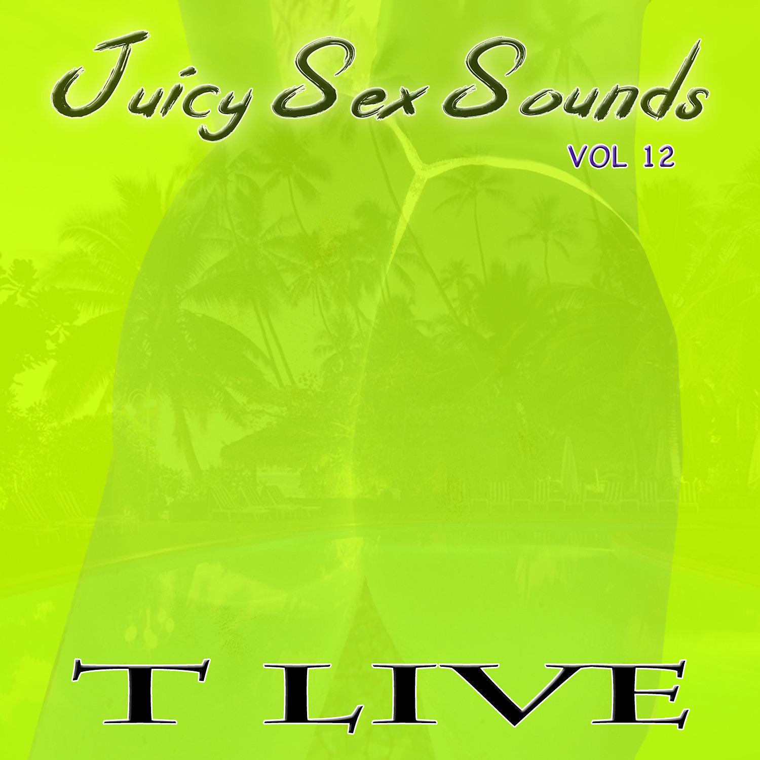 Постер альбома Juicy Sex Sounds, Vol. 12