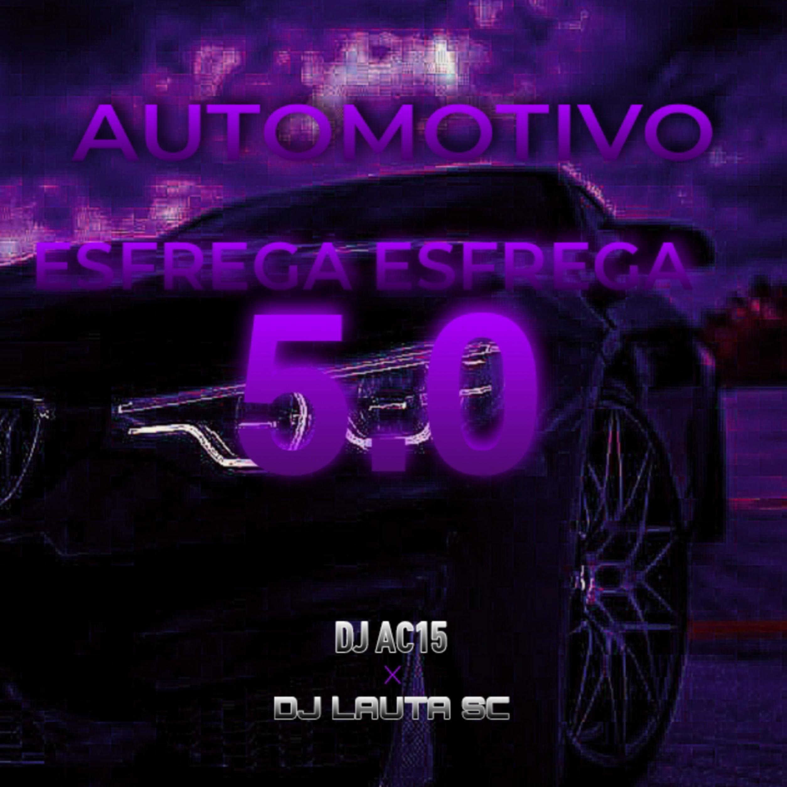 Постер альбома Automotivo Esfrega Esfrega 5.0(feat. Dj Lauta Sc)