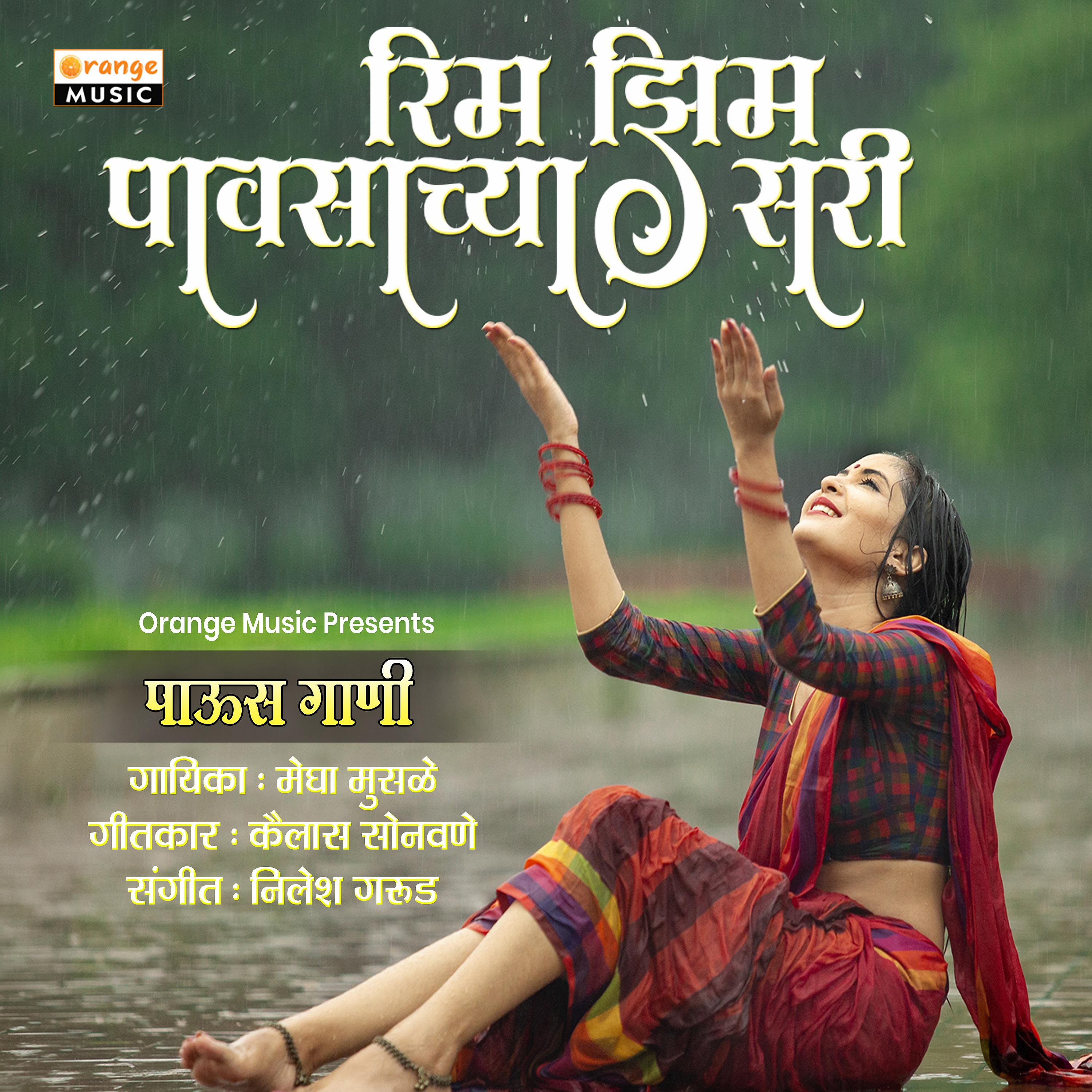 Постер альбома Rim Zim Pavsachya Sari