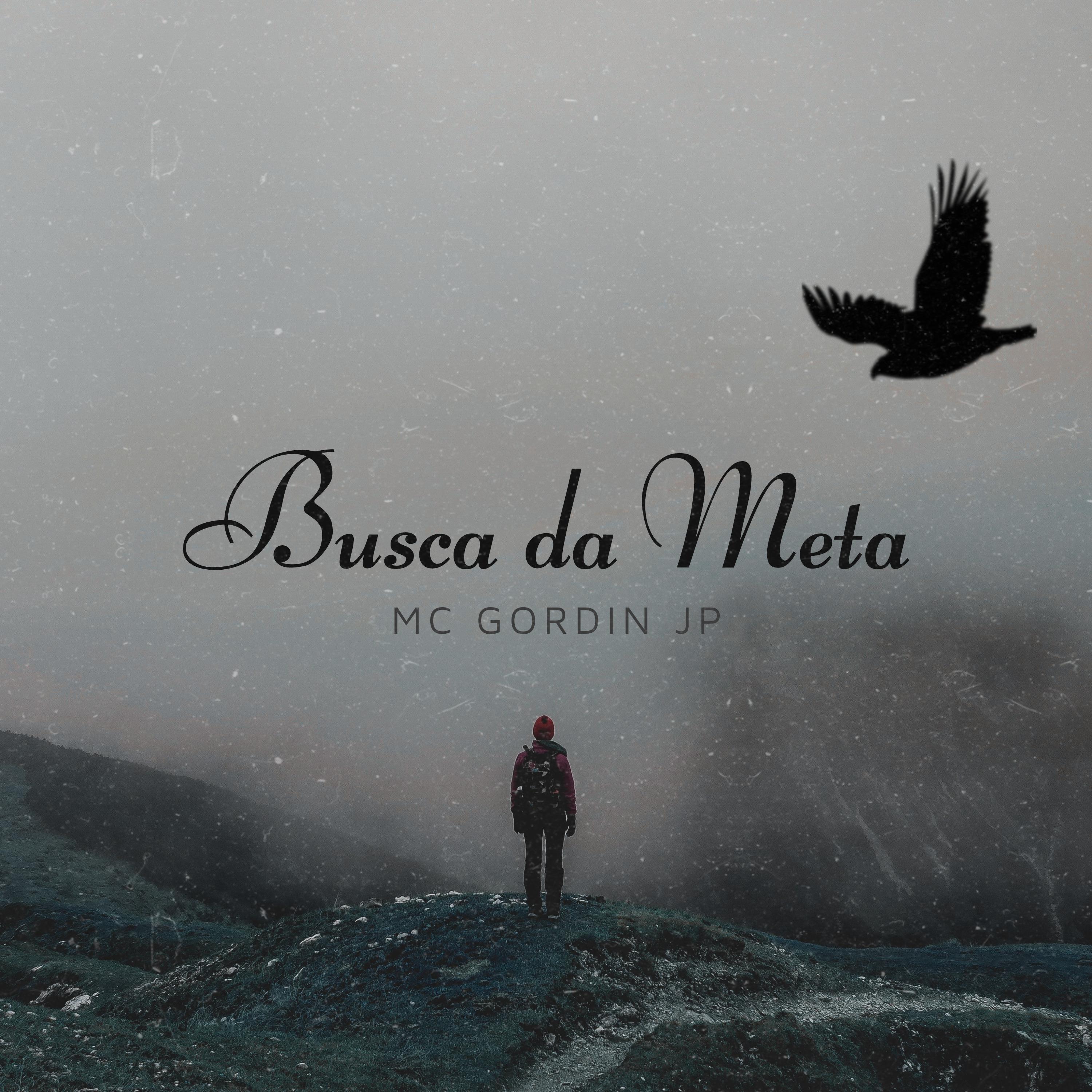 Постер альбома Busca da Meta