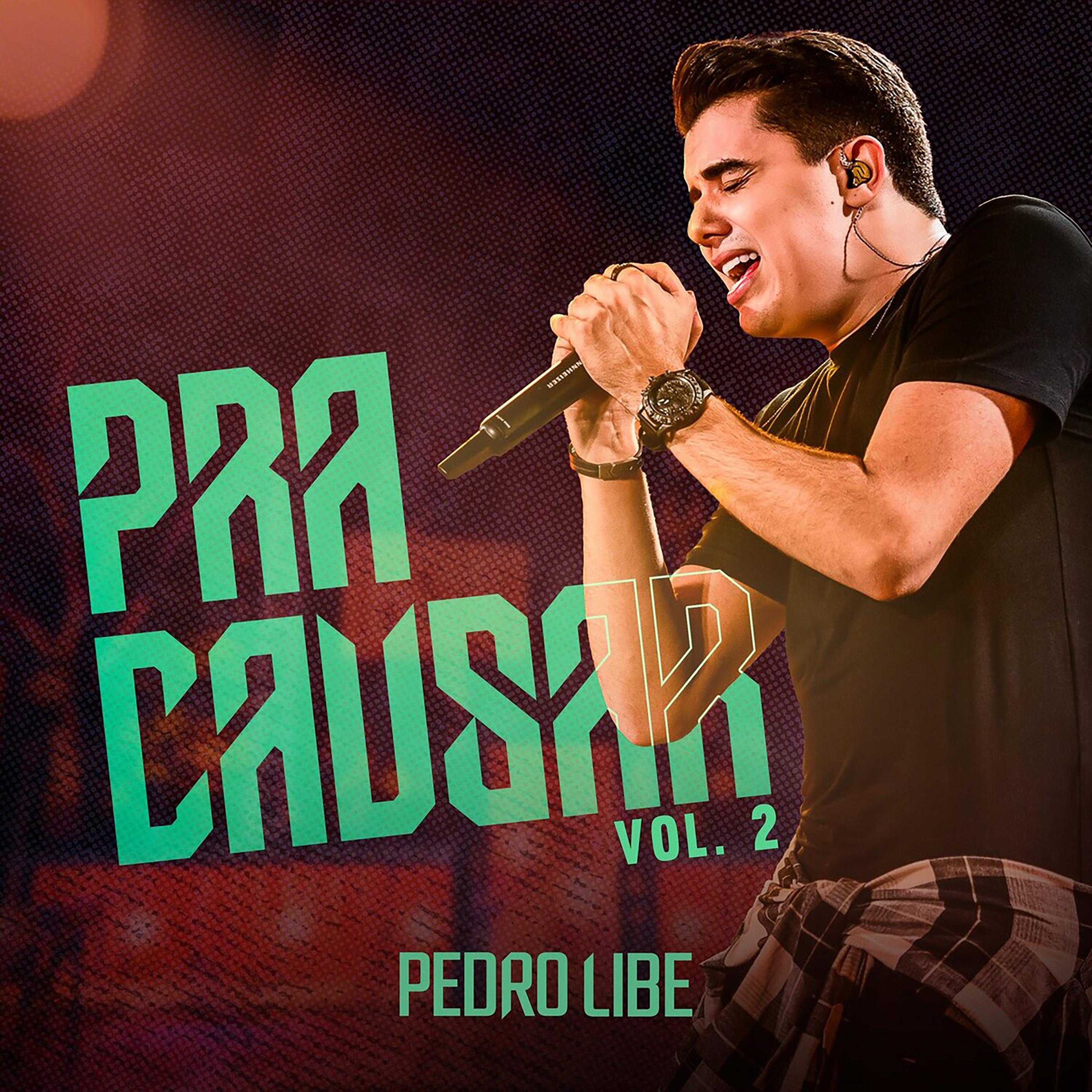 Постер альбома Pra Causar, Vol. 2