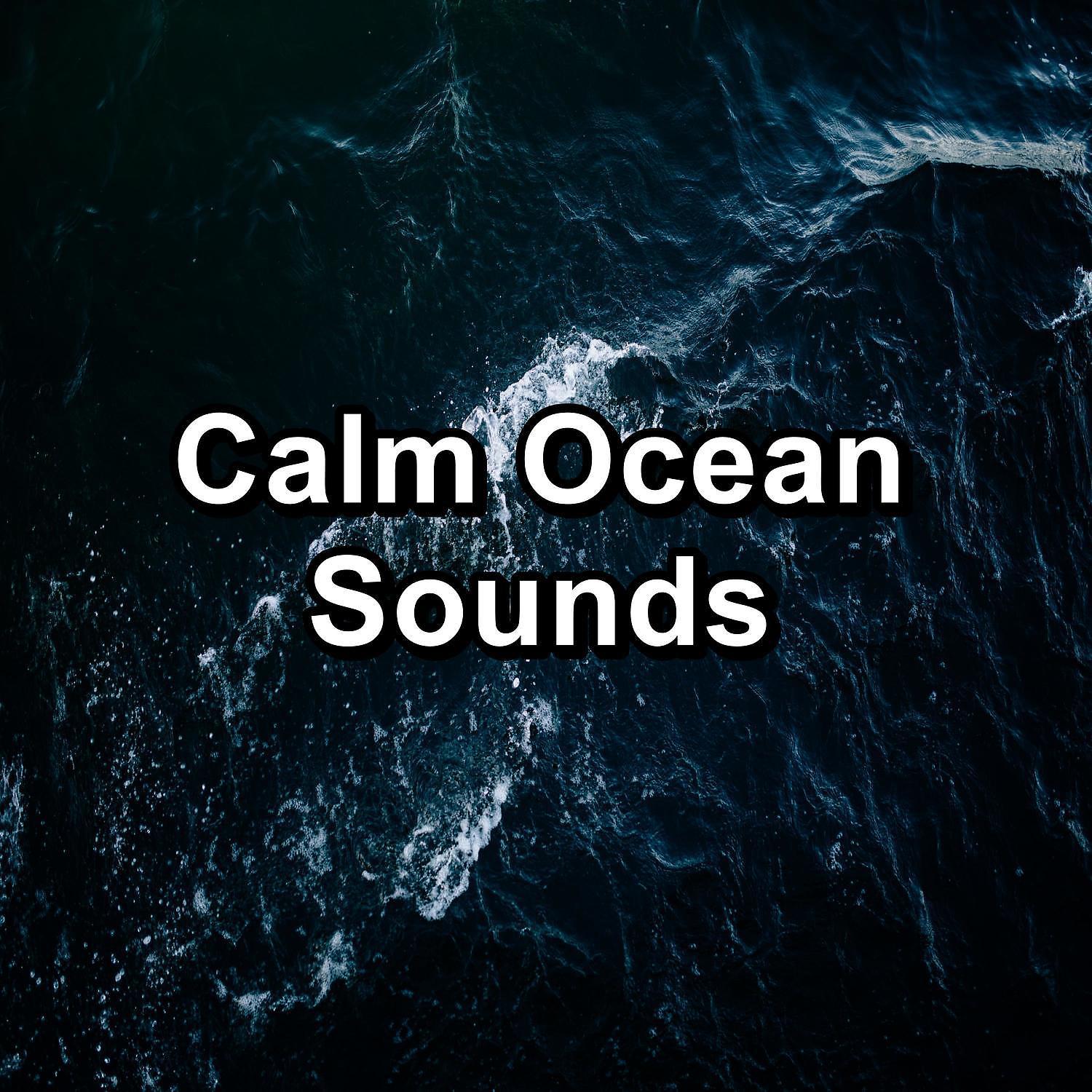 Постер альбома Calm Ocean Sounds