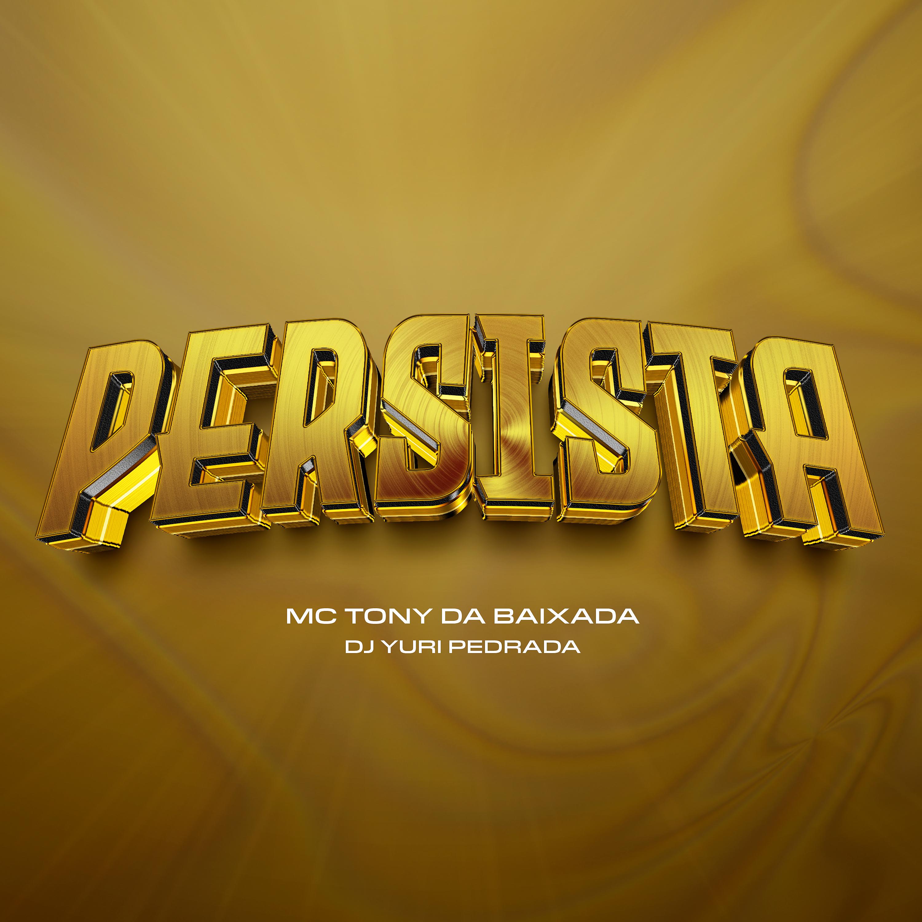 Постер альбома Persista