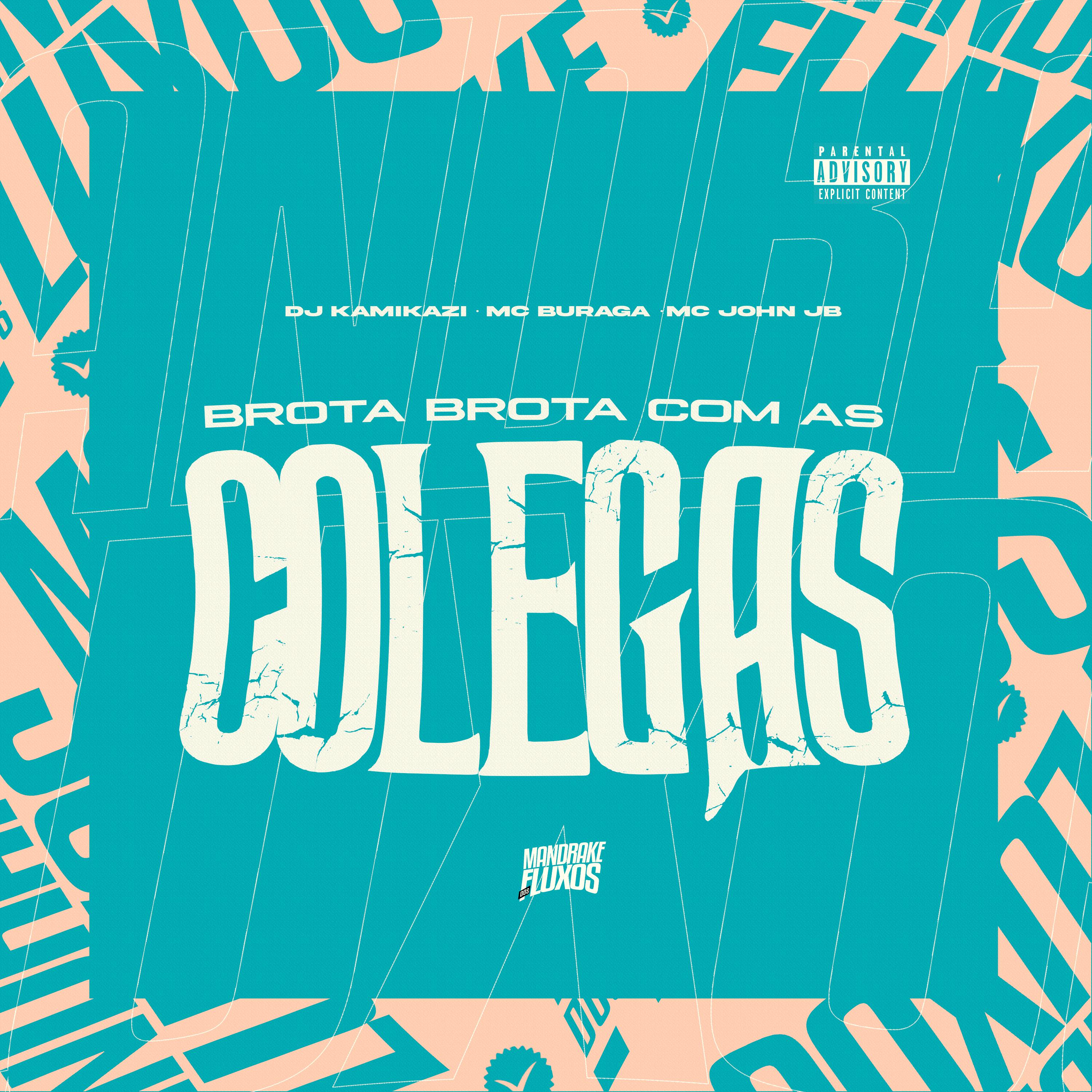 Постер альбома Brota com as Colegas