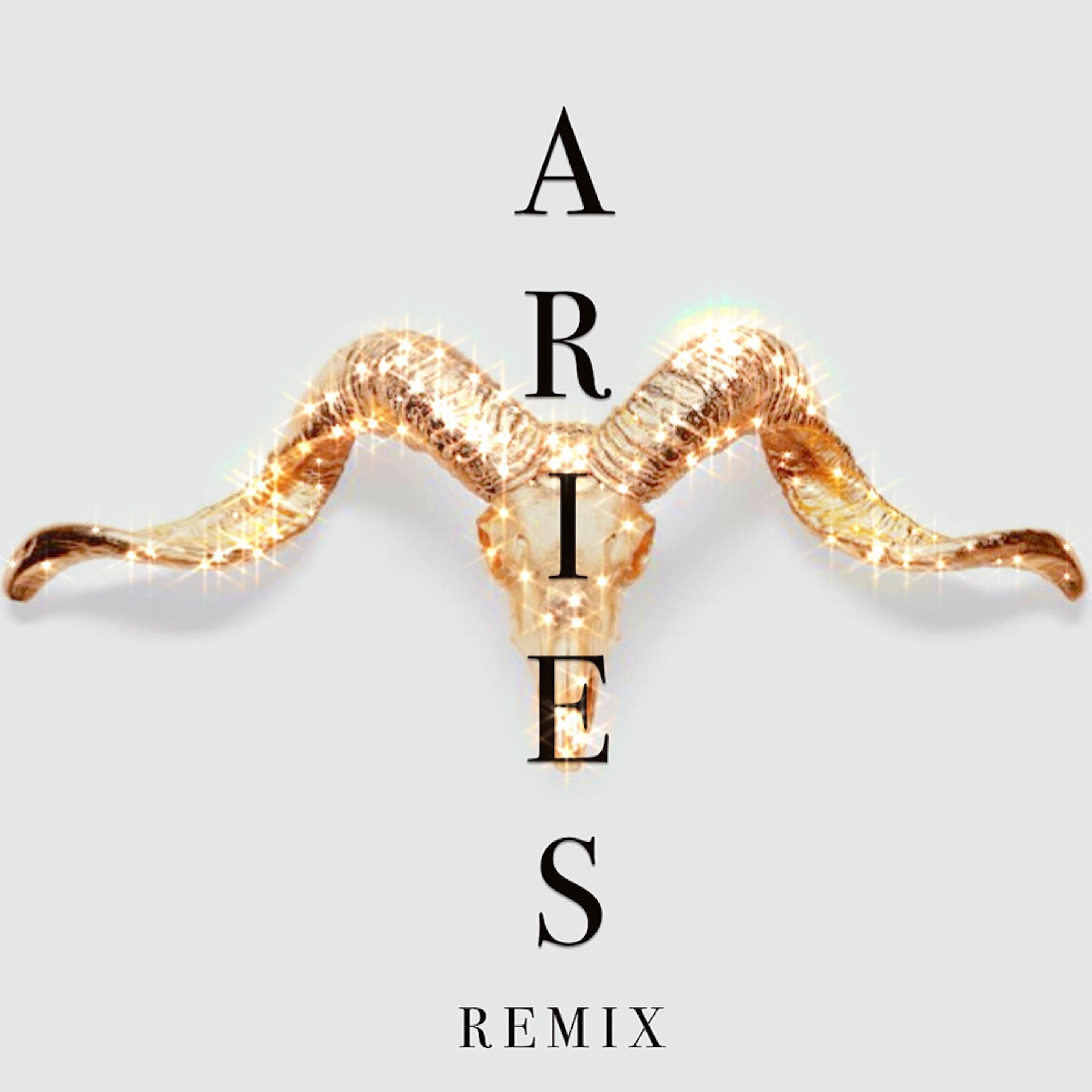 Постер альбома Aries (Remix)