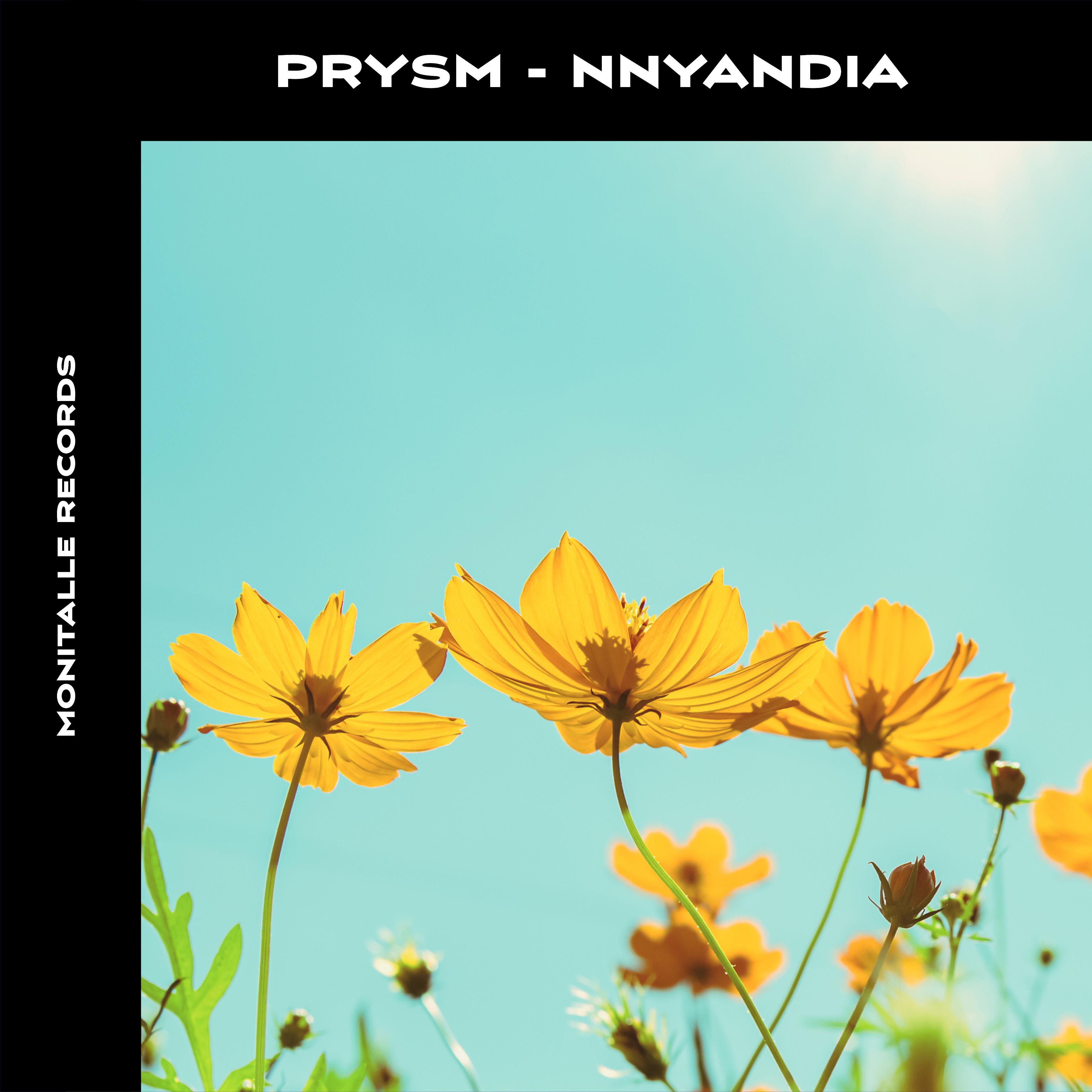 Постер альбома Nnyandia