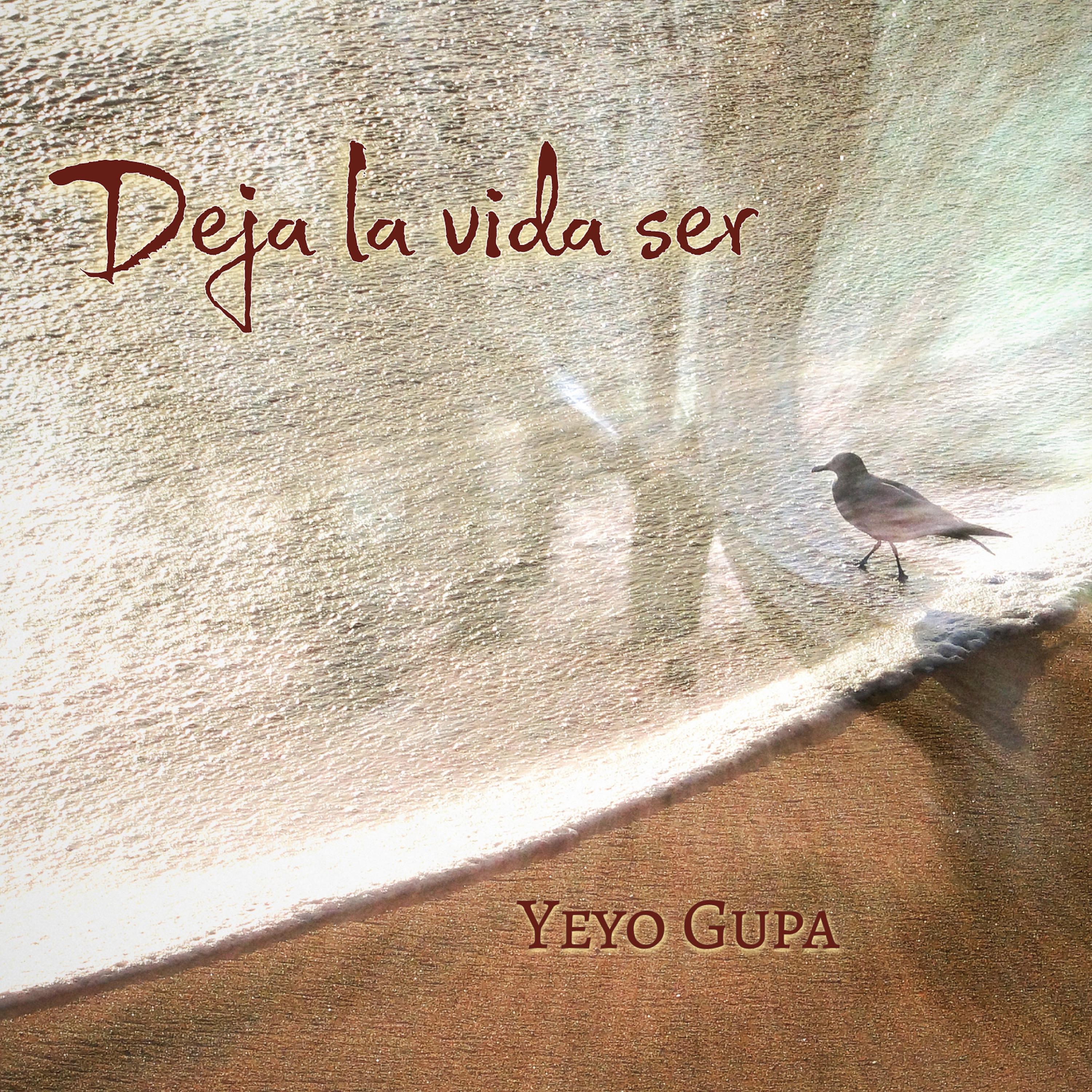 Постер альбома Deja la Vida Ser