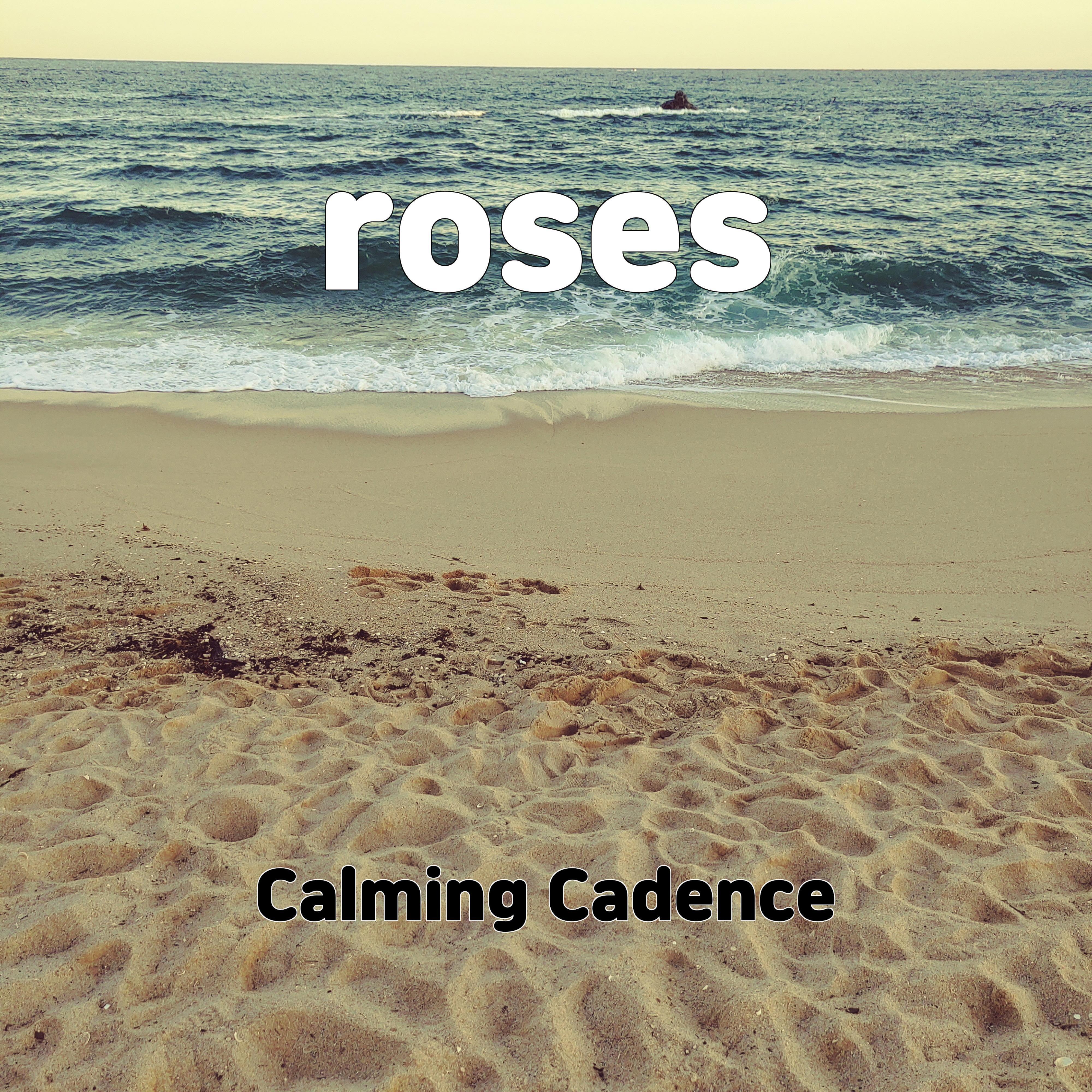 Постер альбома roses