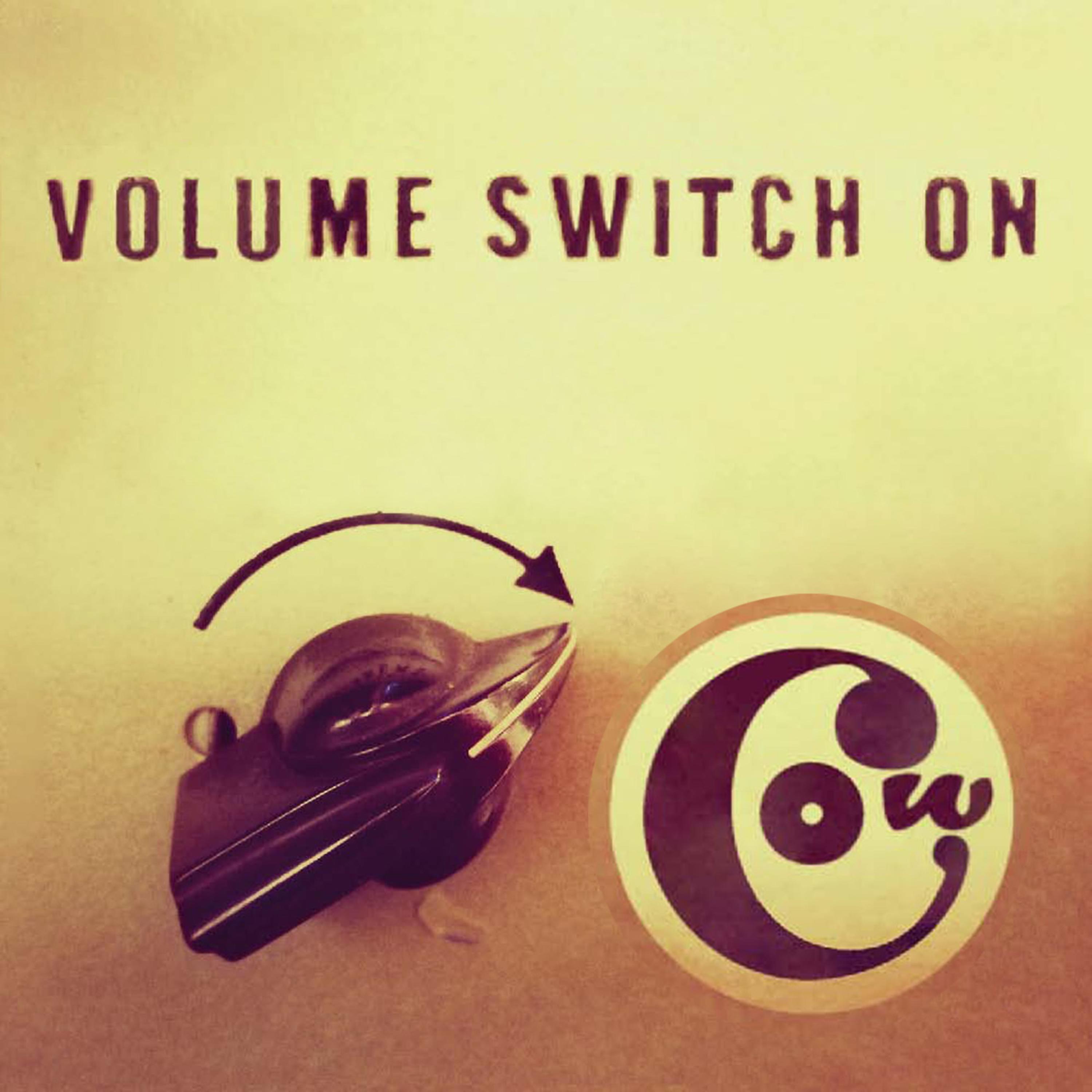 Постер альбома Volume Switch On