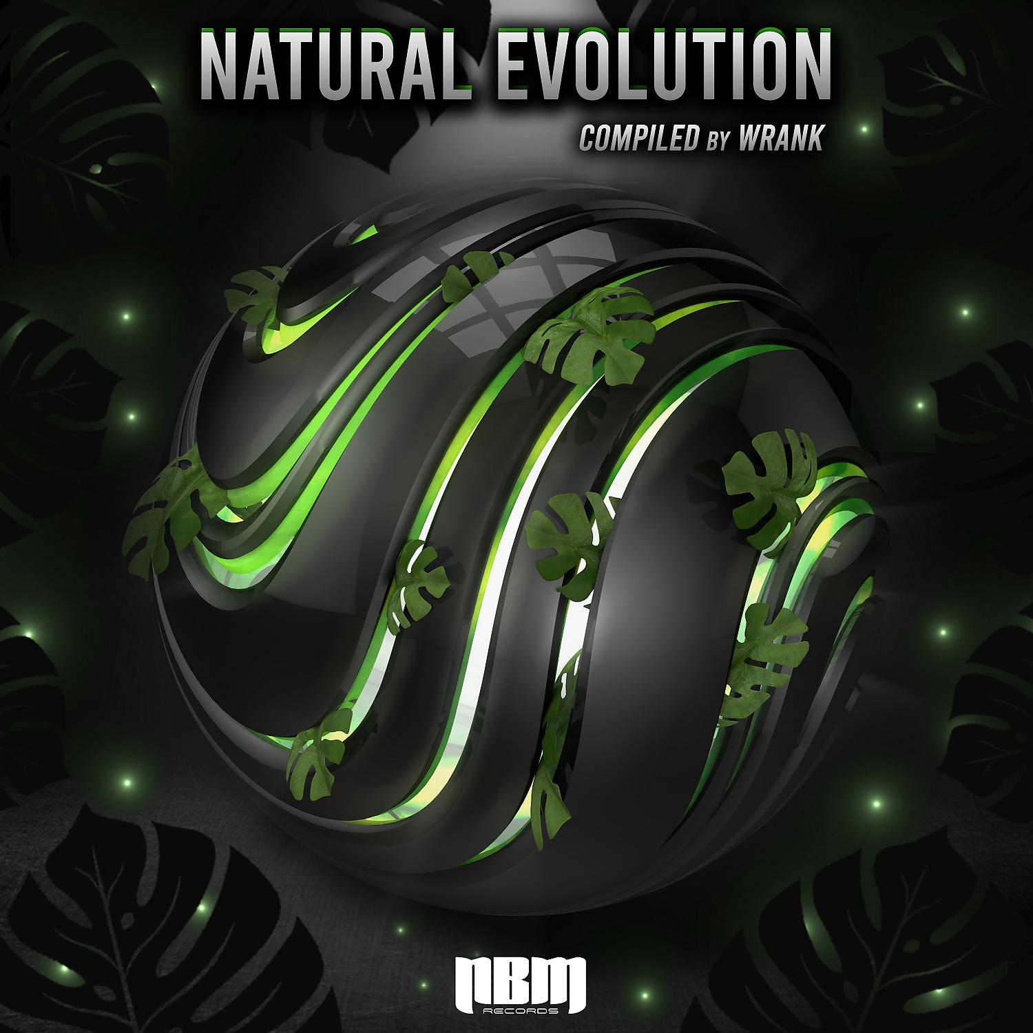 Постер альбома VA - Natural Evolution