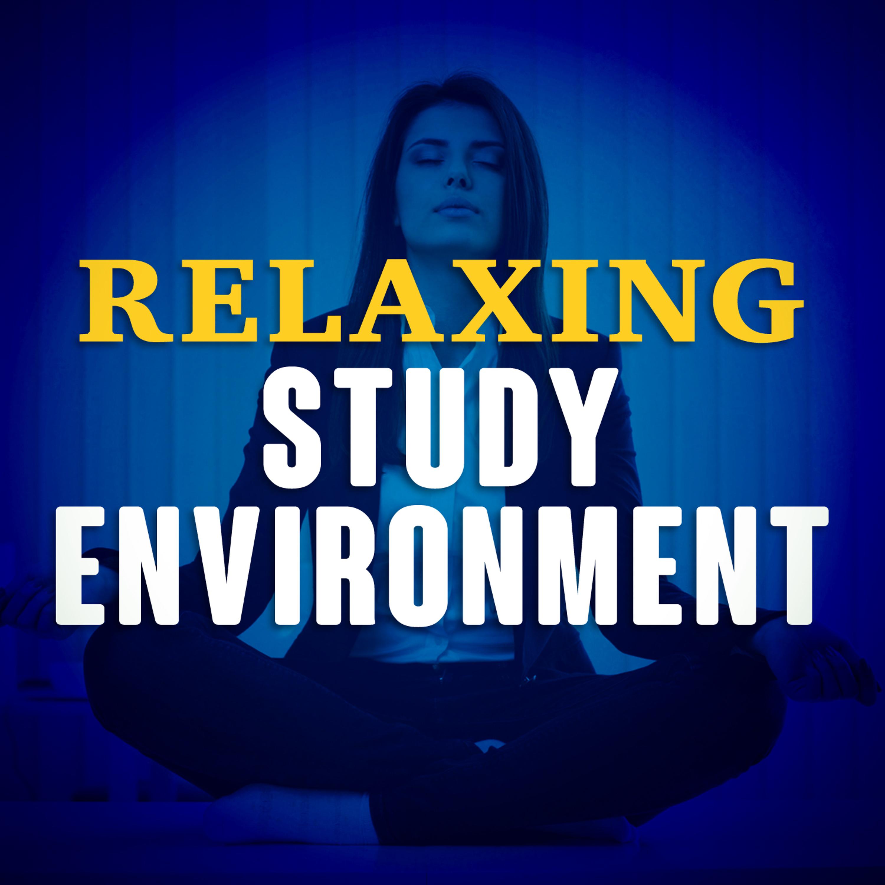 Постер альбома Relaxing Study Environment