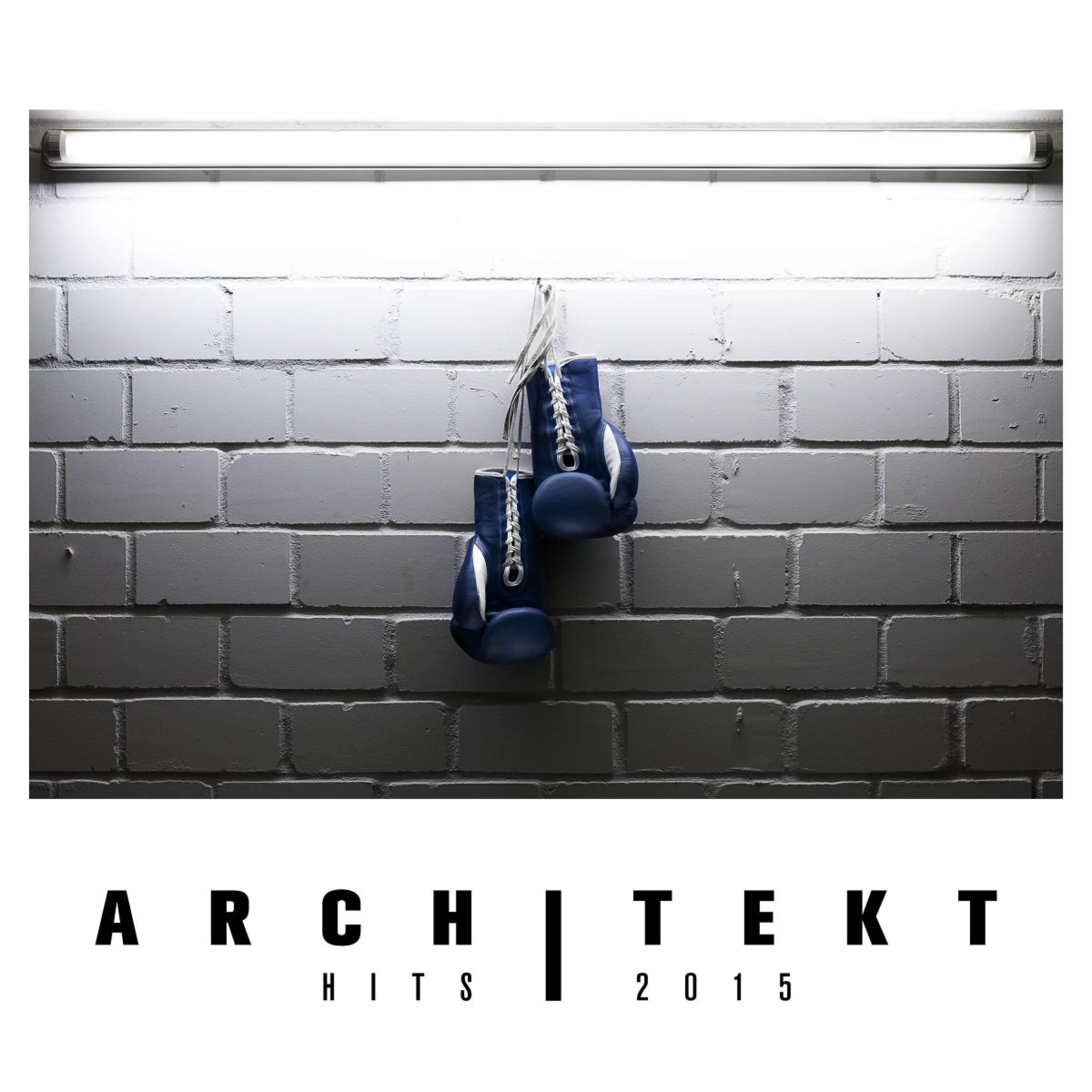 Постер альбома Architekt Hits 2015